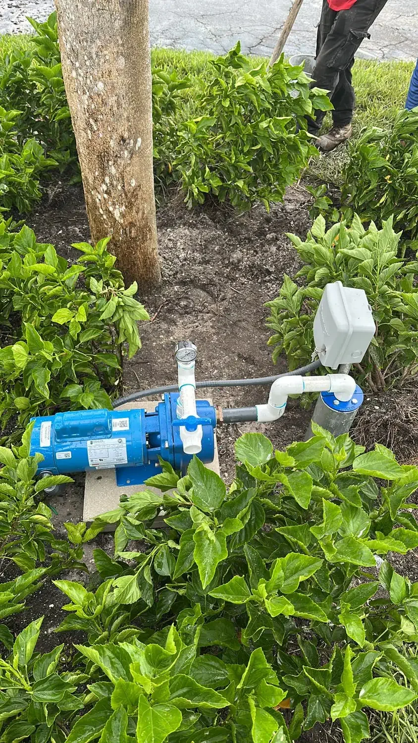 Well pump replacement in Sarasota installed in a landscape bed