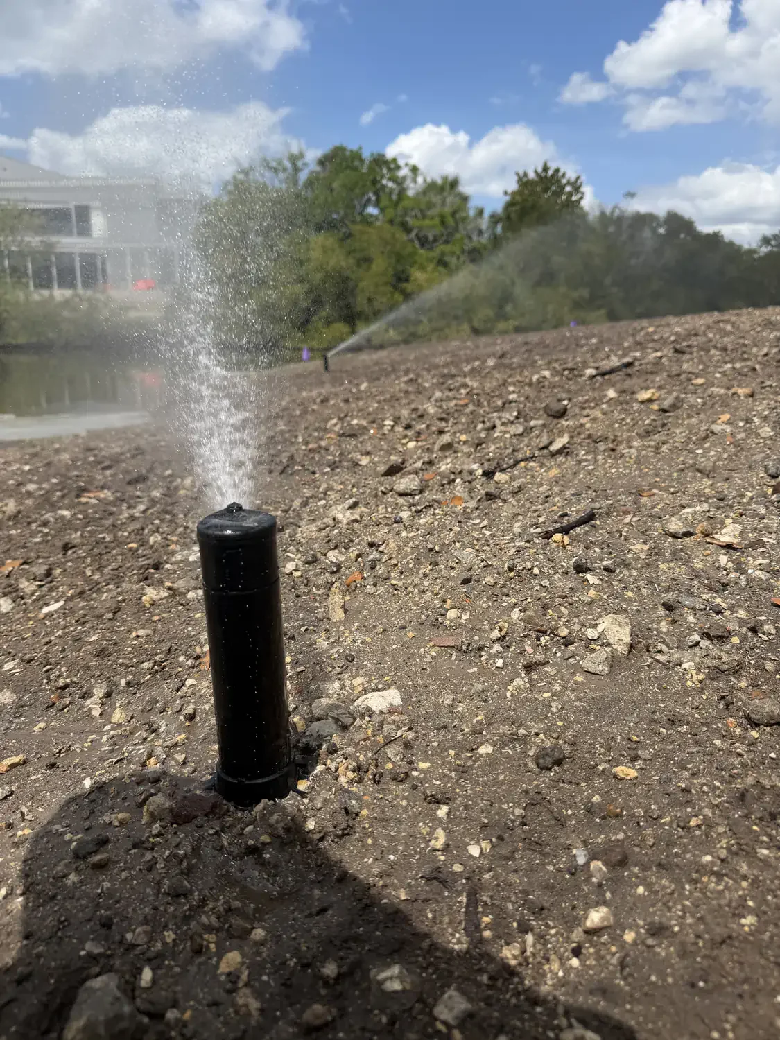 Irrigation repair service restoring coverage with a new pop-up head