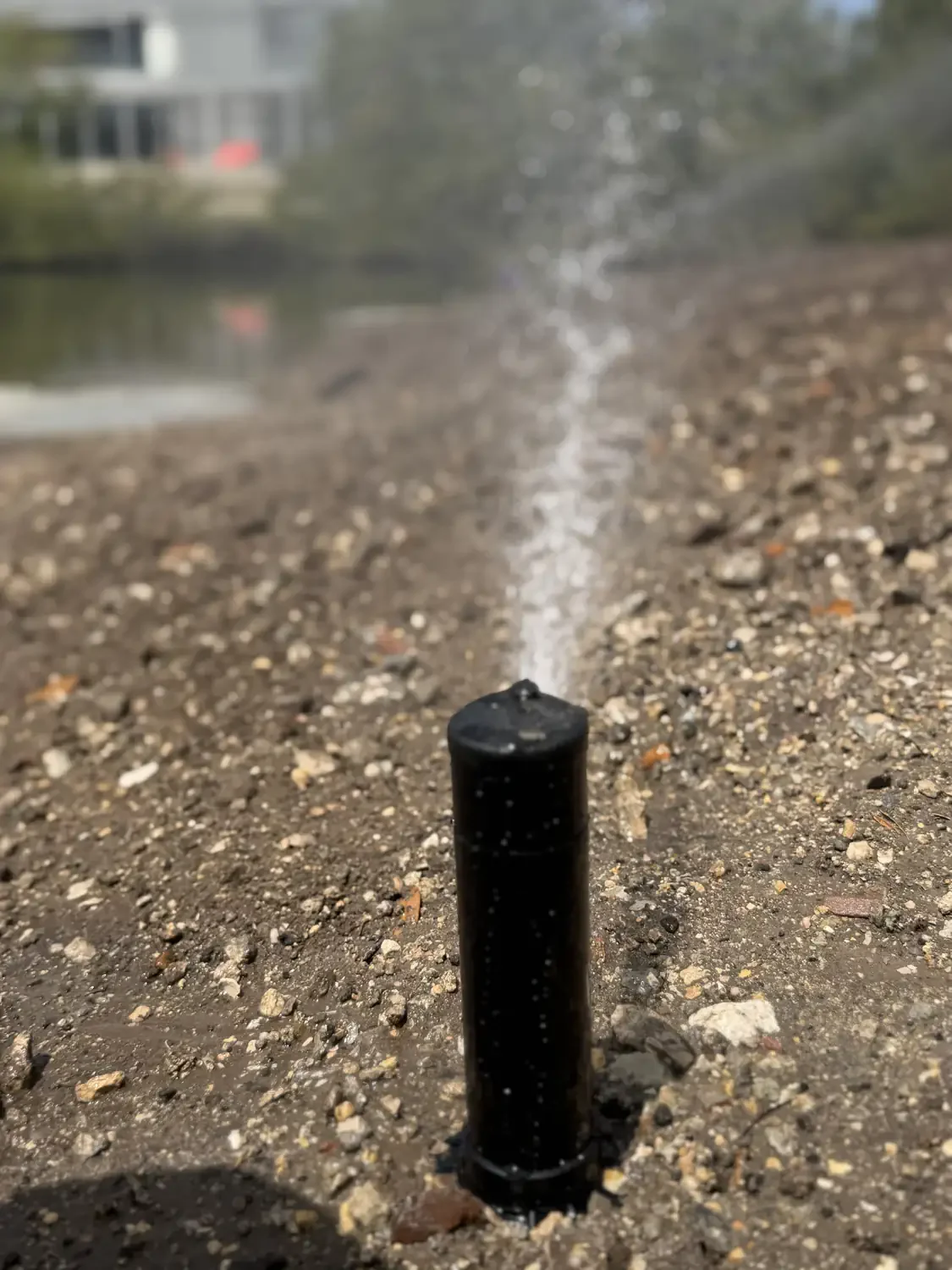 Broken sprinkler head in Sarasota running after nozzle replacement