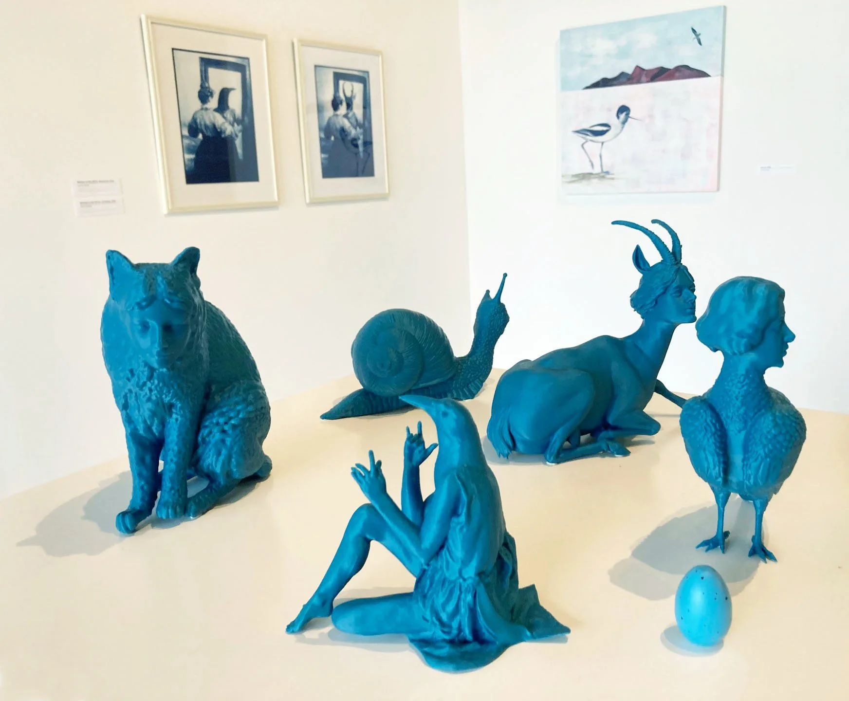 Anomalies exhibition