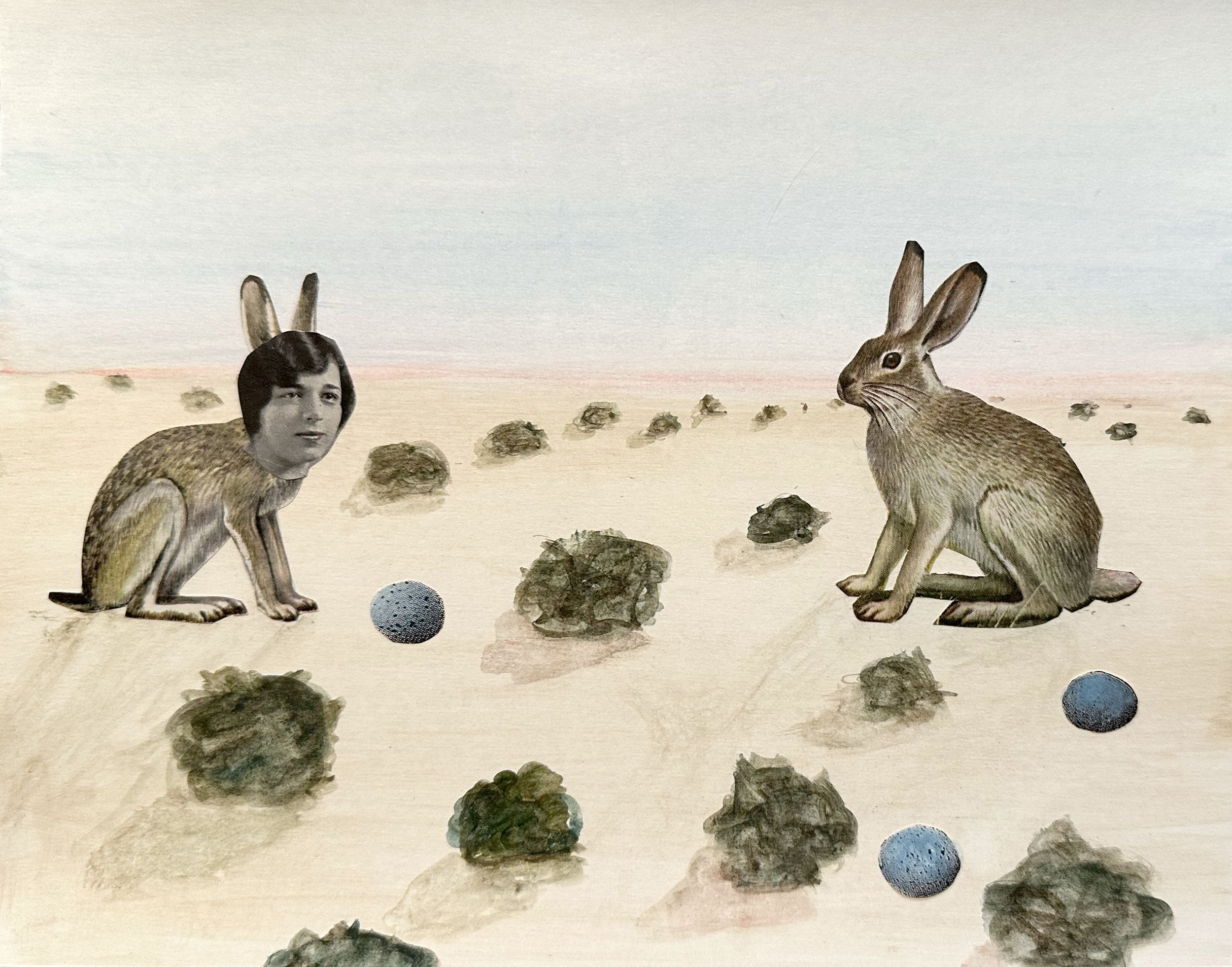 Rabbits