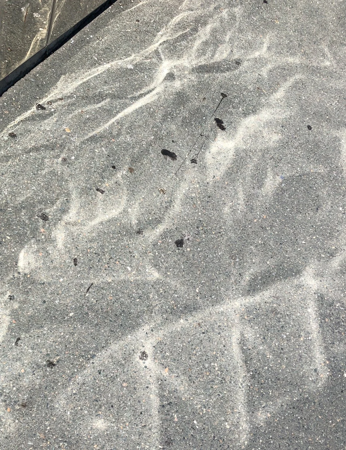 Asphalt Lights Lee Lee Moss