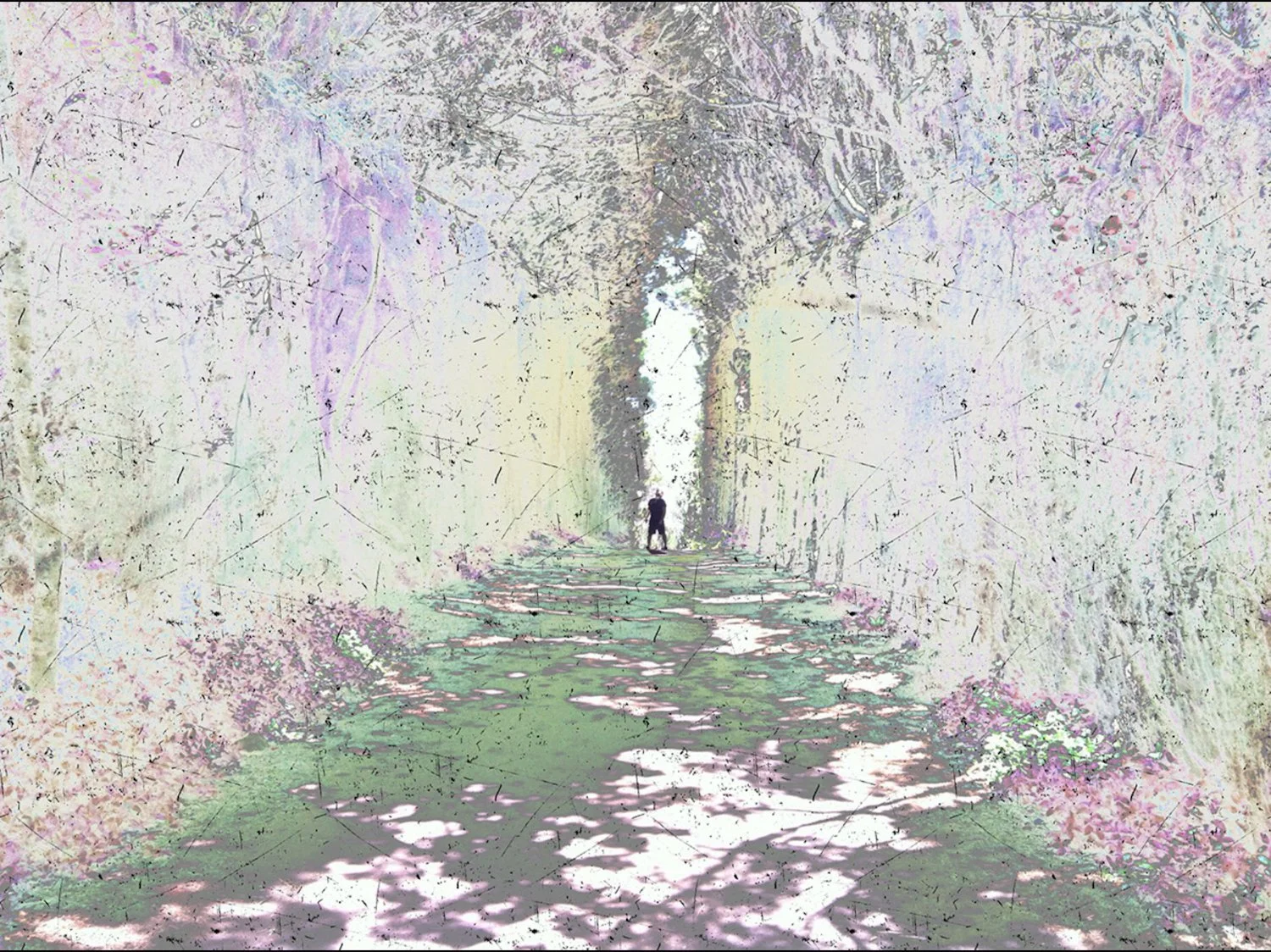 altered images — lee . lee . moss