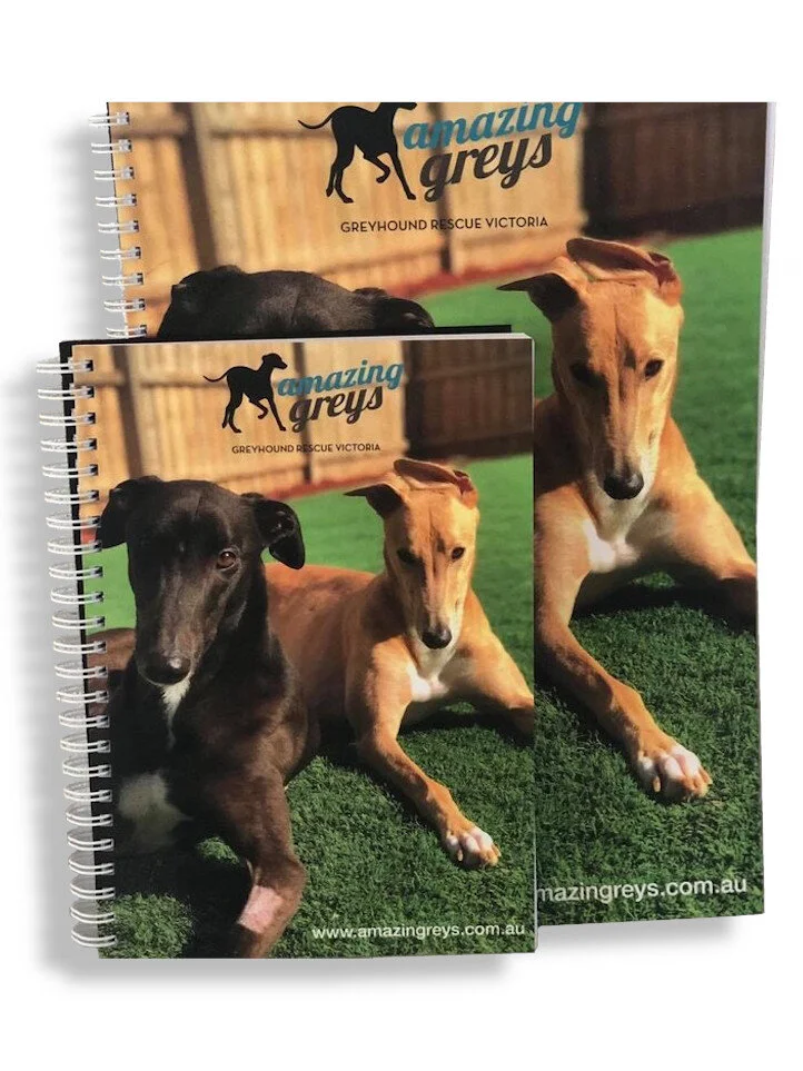 Amazing Greys notebooks