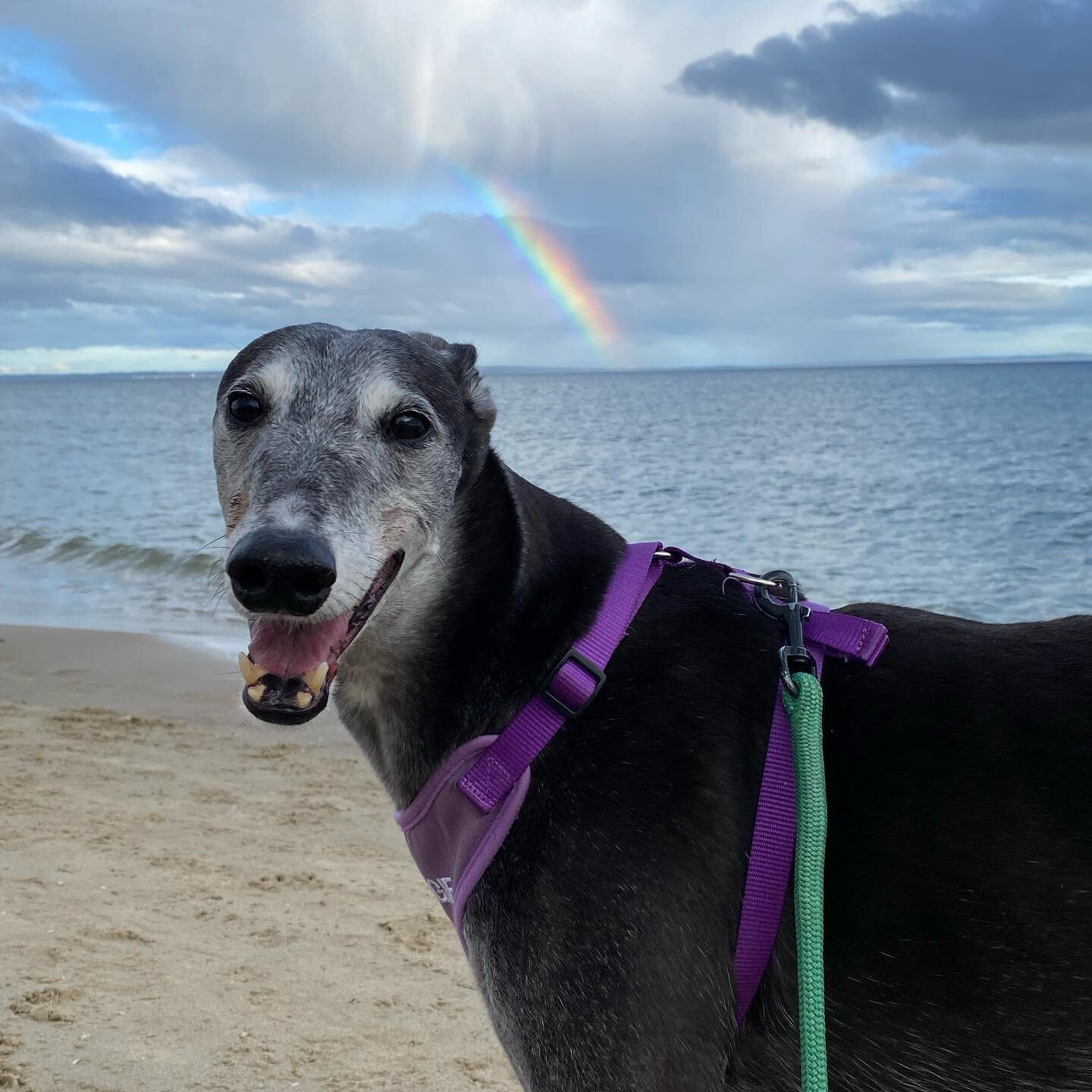 Saw a rainbow, struck a pose 💃🏻🤳🌈 Maggie