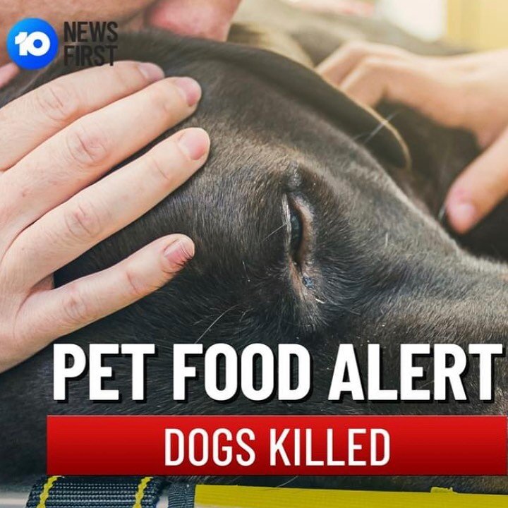 🔴 WARNING FOR PET OWNERS AFTER THREE DOGS KILLED

Victorian dog owners have been warned about deaths linked to raw dog meat, with another three dogs dying from liver toxicity related to the food. 

There have been at least 10 dogs who have died from