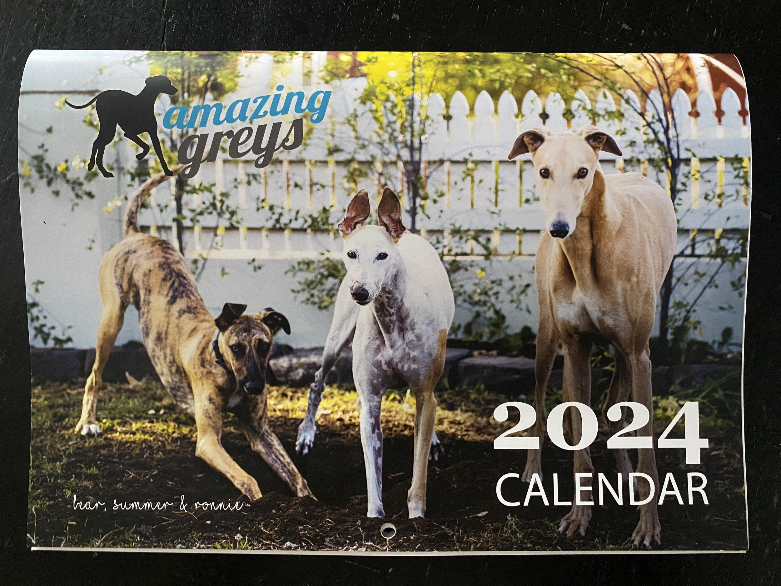 2024 Amazing Greys Calendar