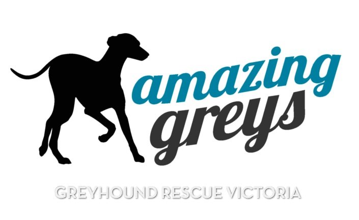 Amazing Greys