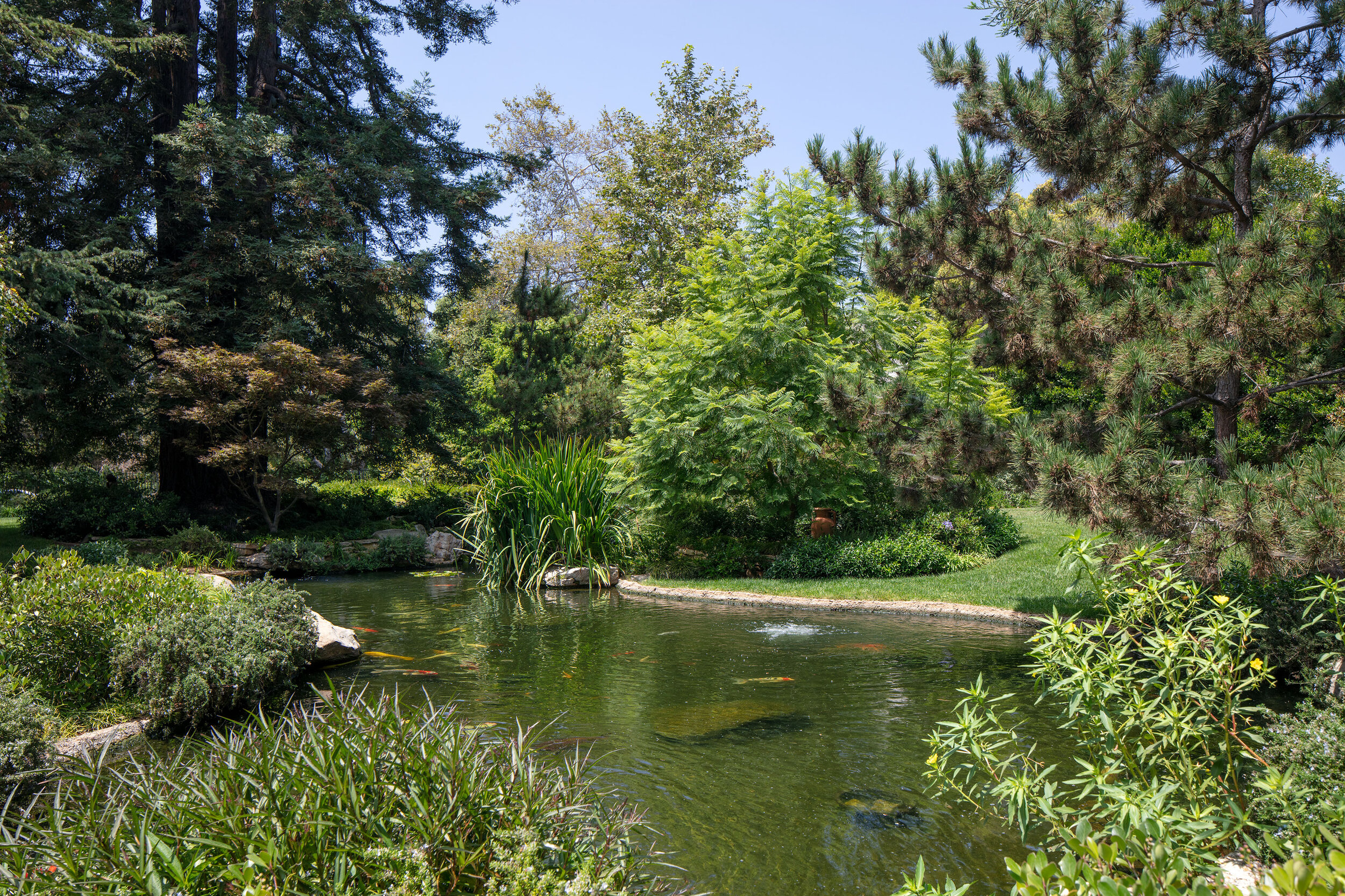bristol420s-pond.jpg