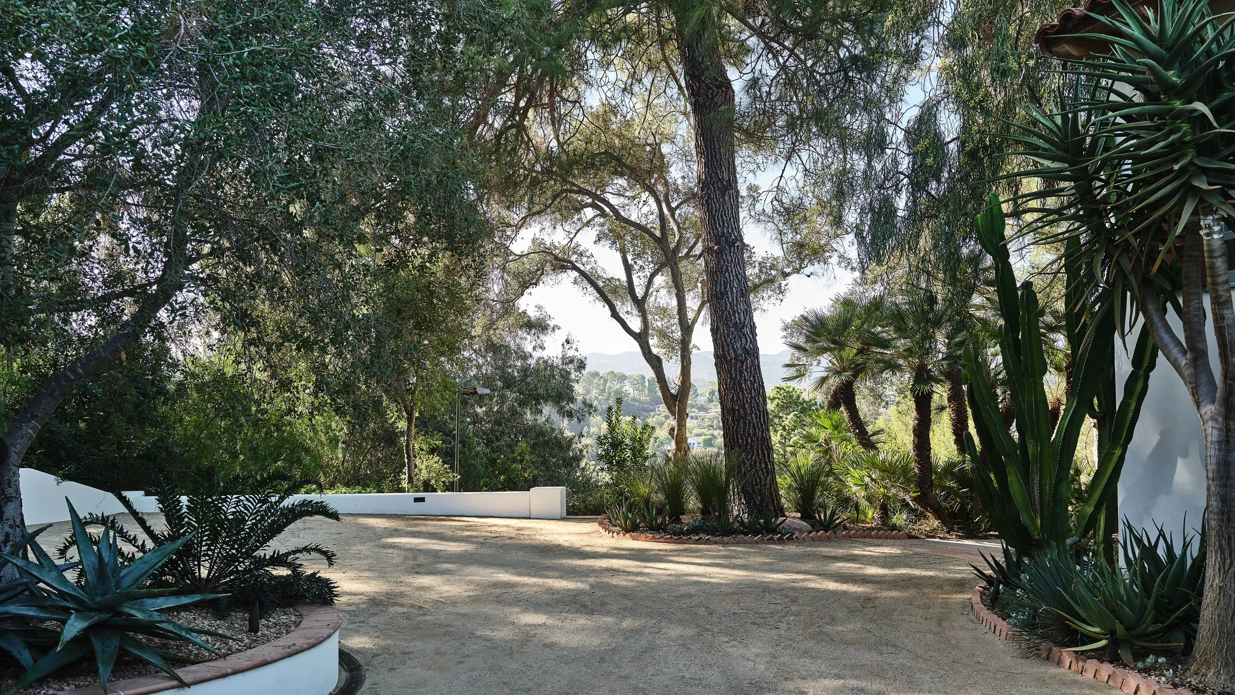 DSCF8762.jpg