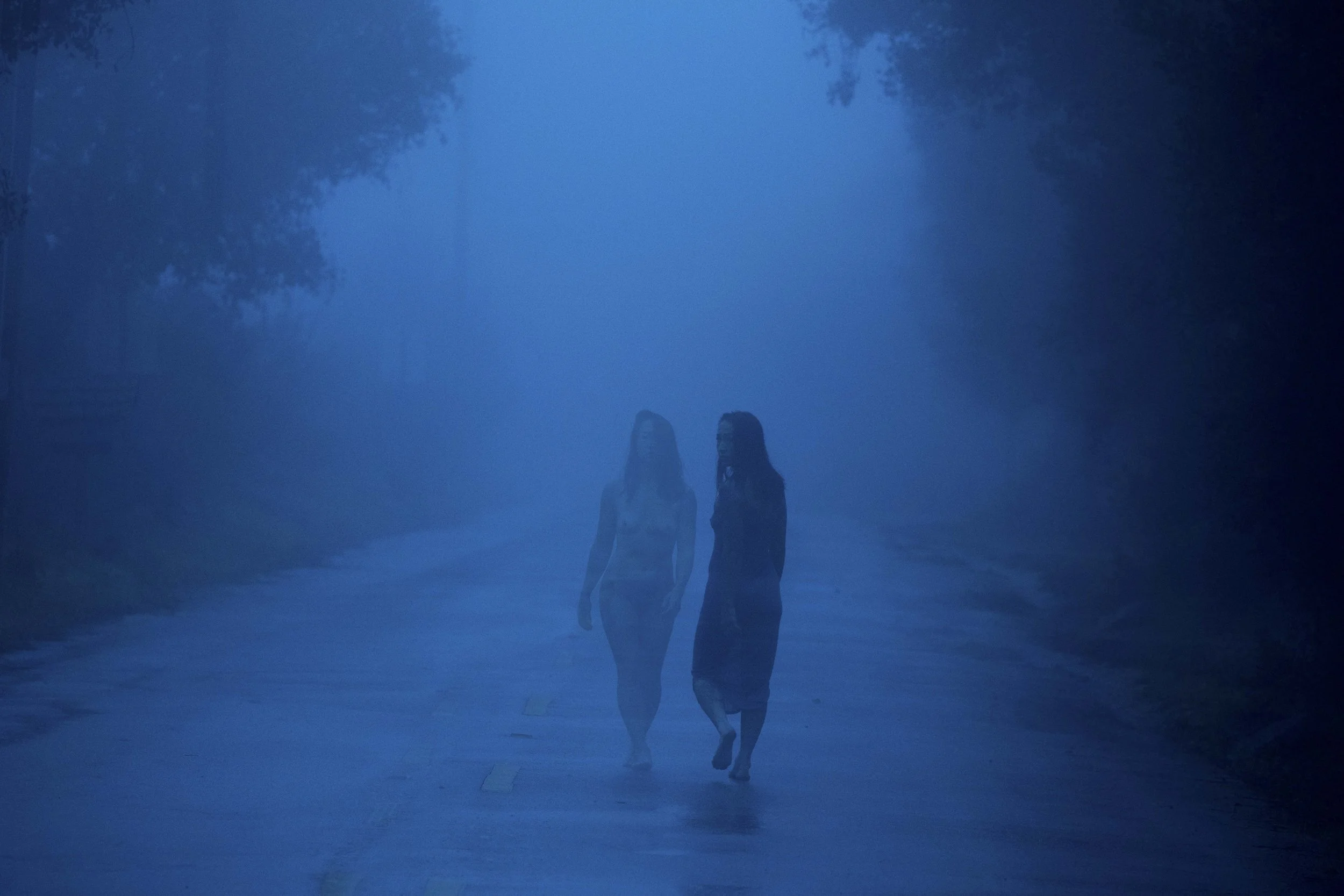 Image 8 - In the fog.jpg