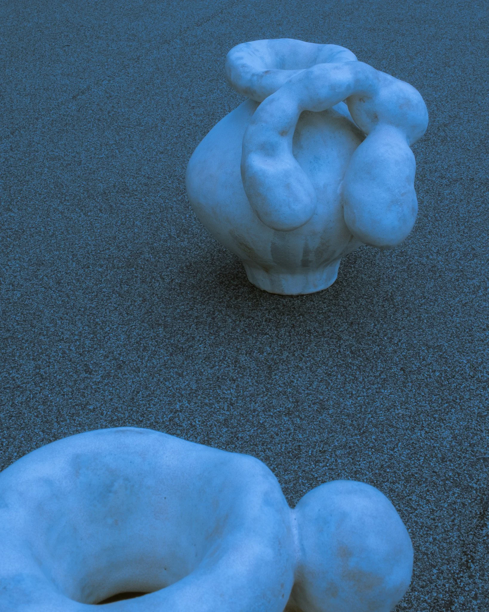 DSCF5275.jpg