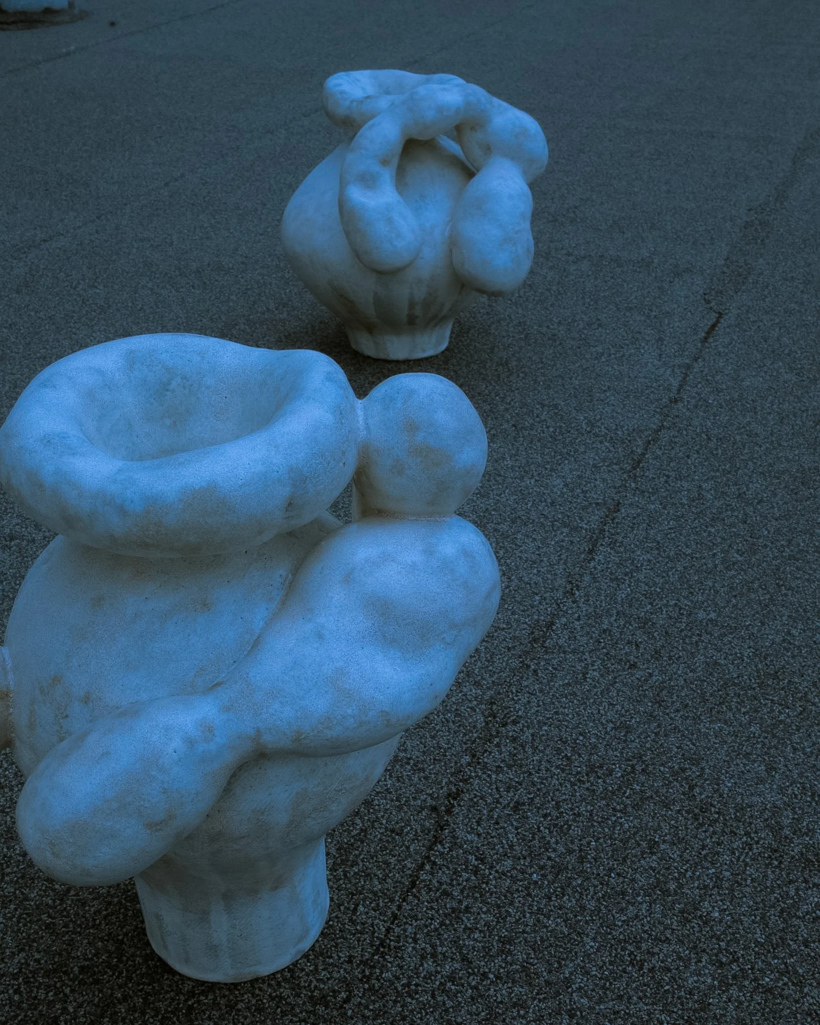 DSCF5274.jpg