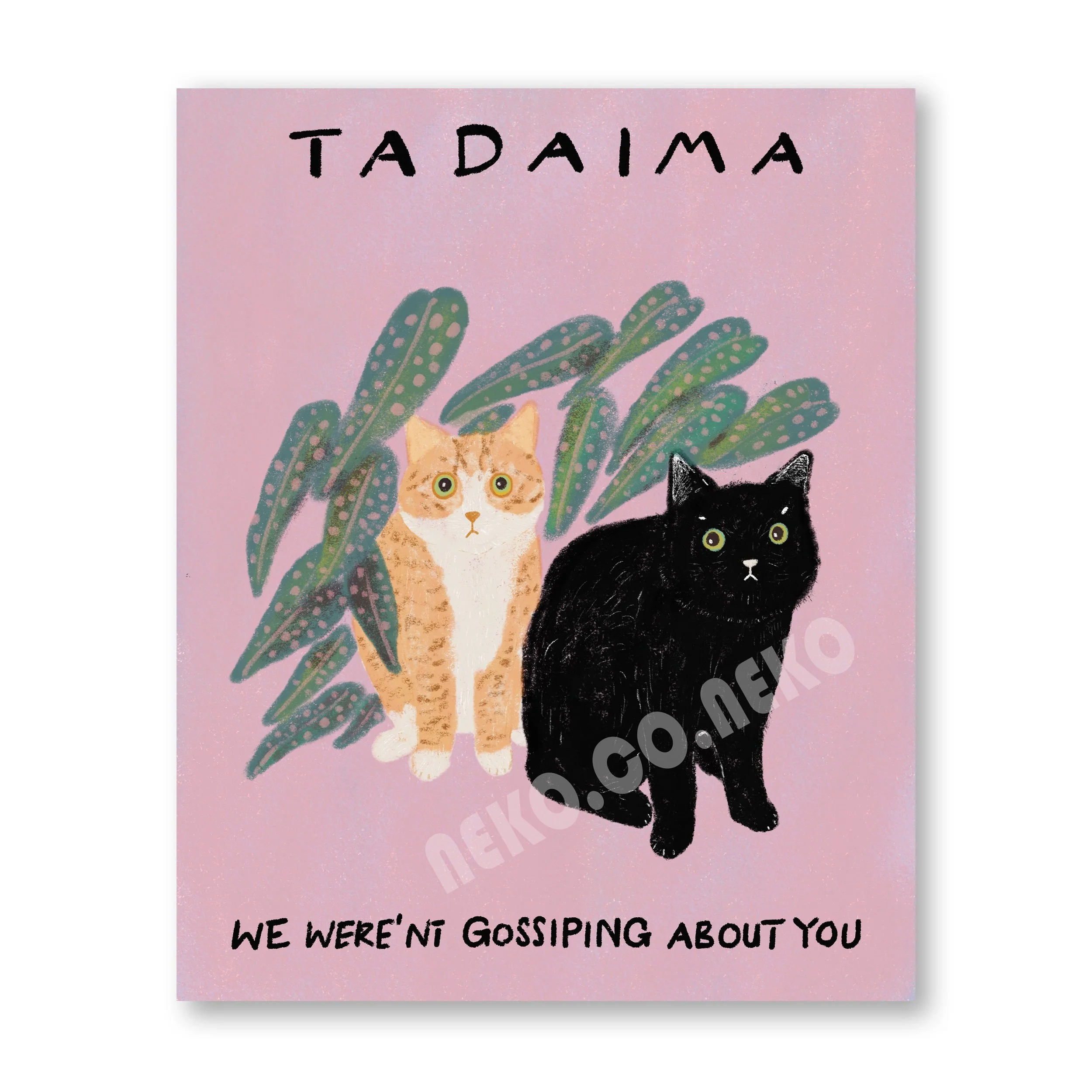 tadaima.jpg