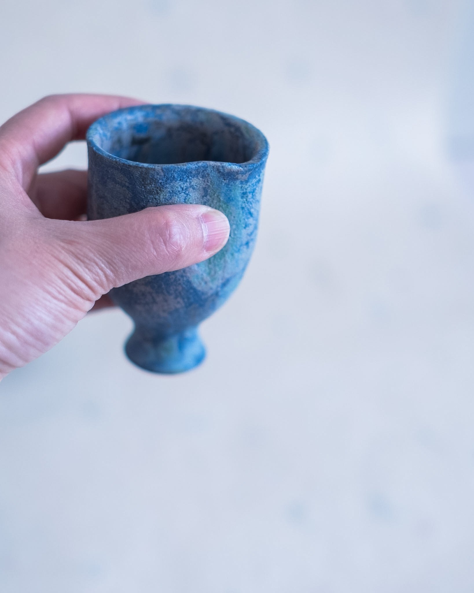 DSCF4900.jpg