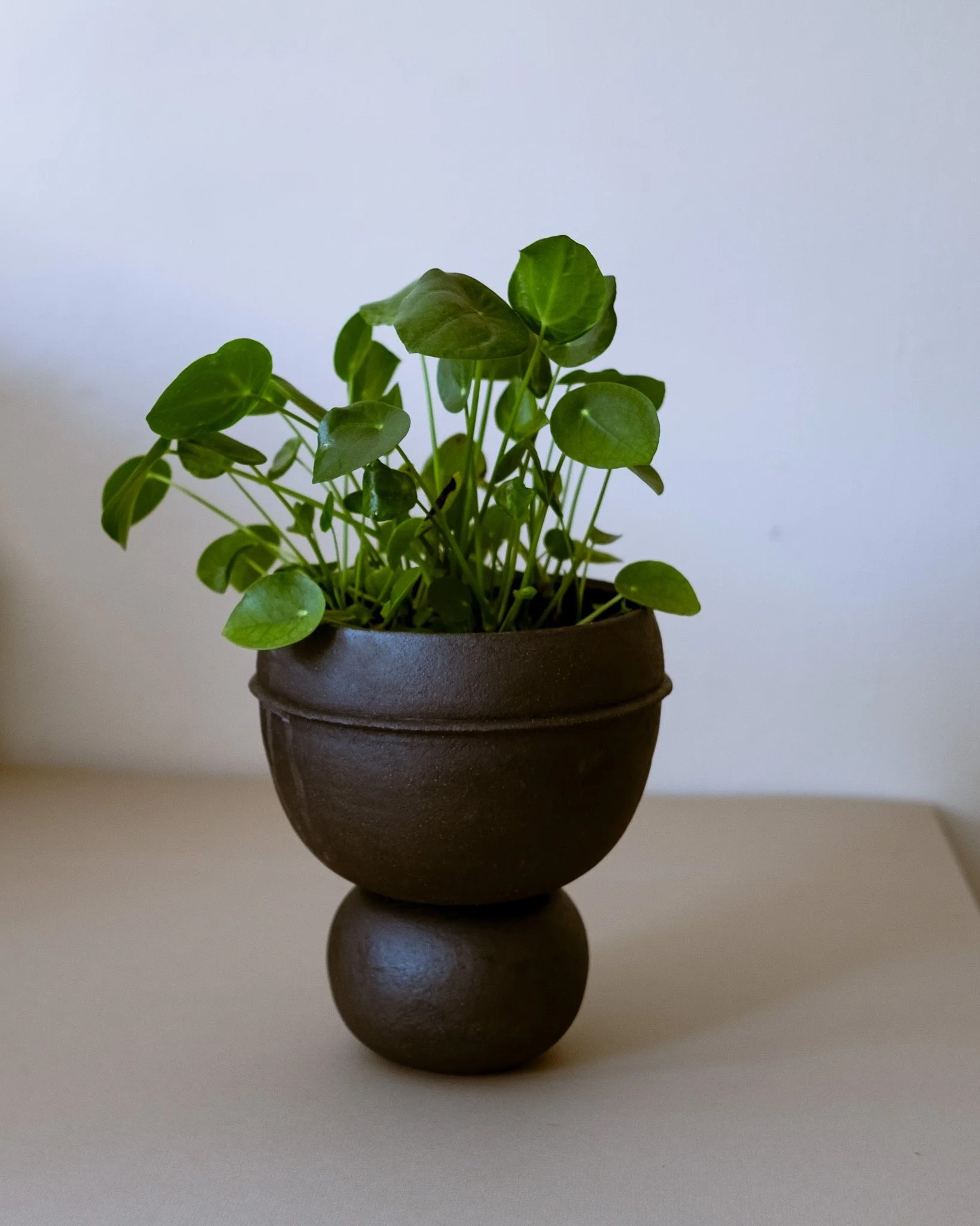 DSCF0752.jpg