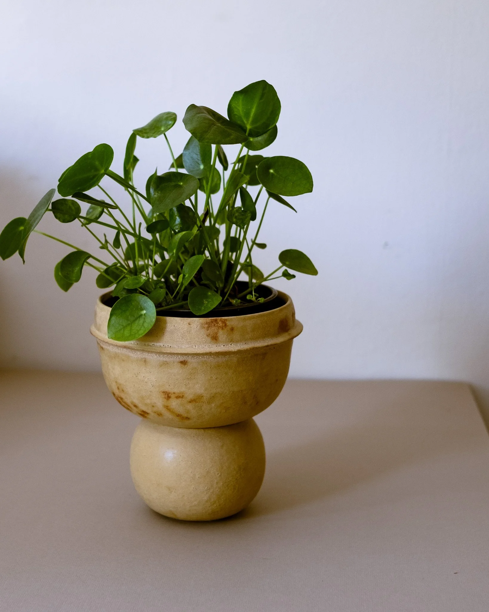 DSCF0756.jpg