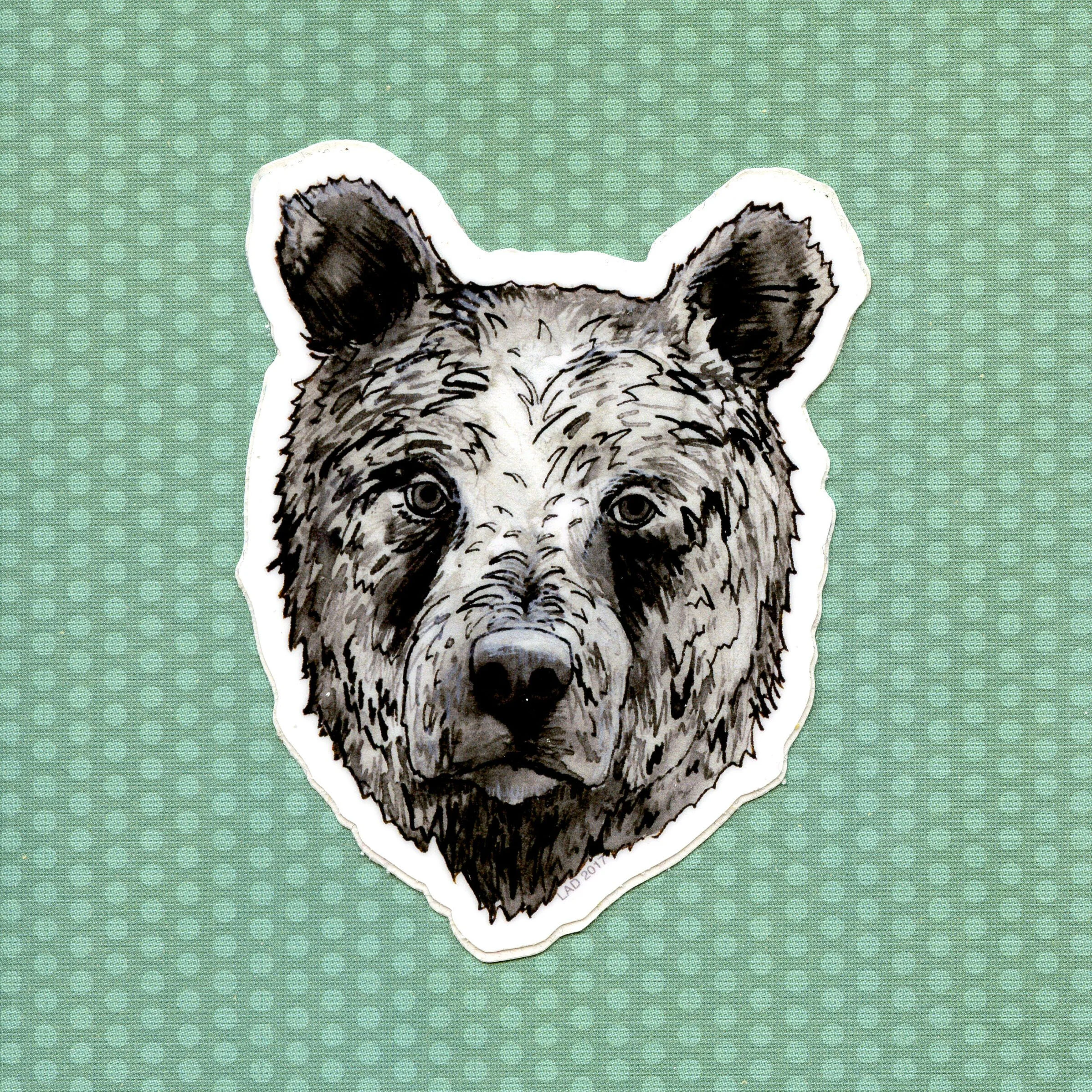 Bear
