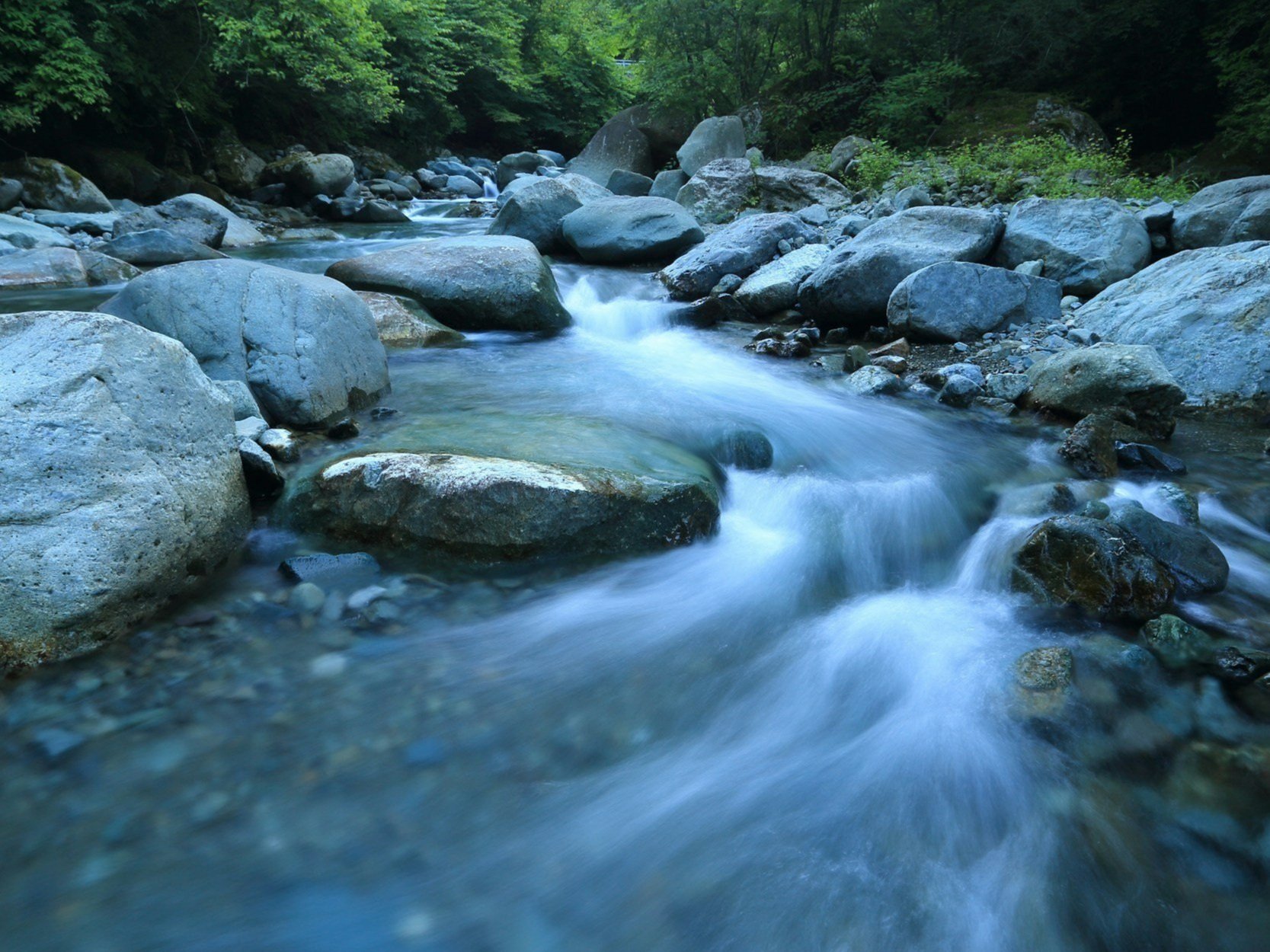 Energy Alignment: Let yourself flow