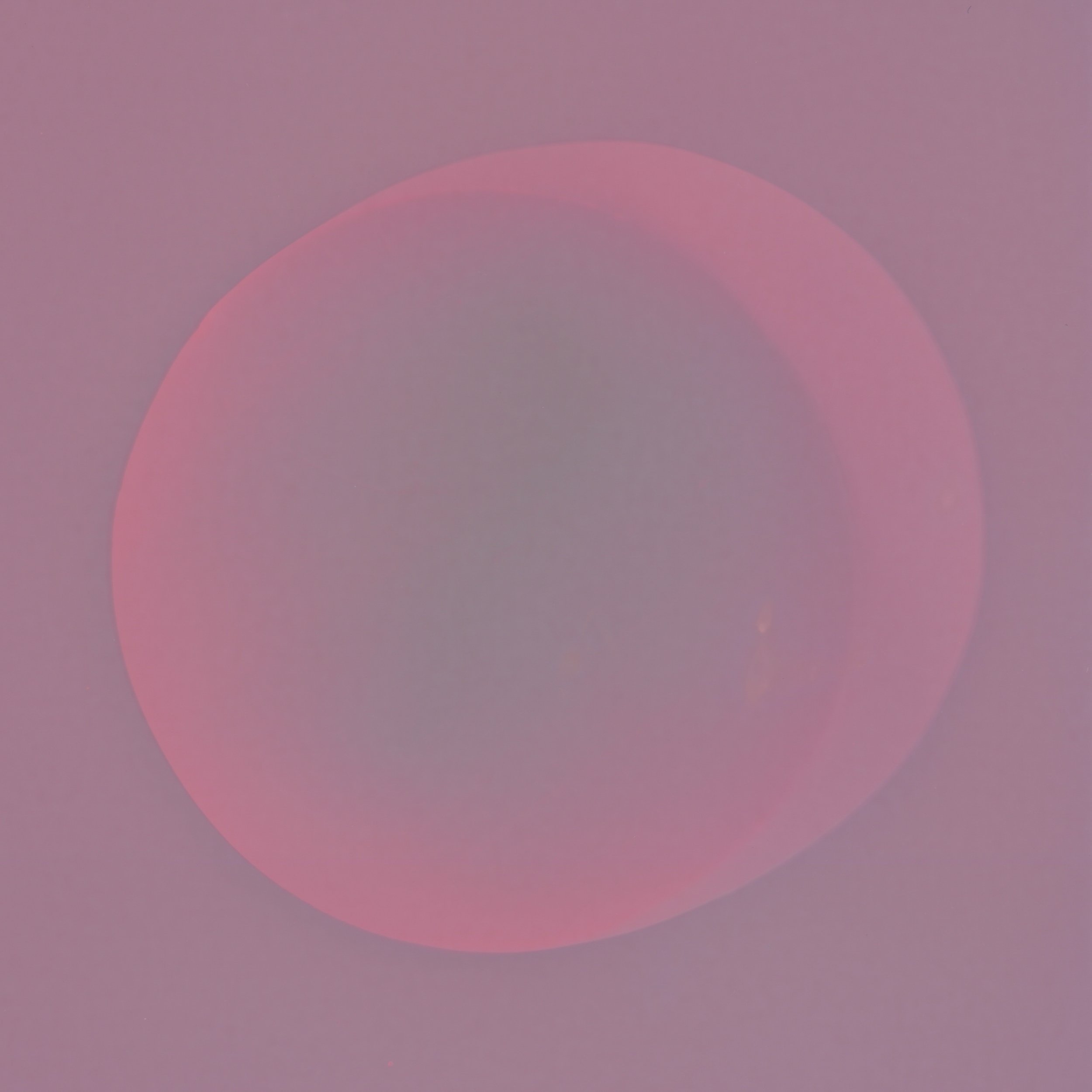 This series is an ongoing exploration of experimental cameraless photography. Without a traditional camera or lens, these images are made by intuitively placing objects directly onto the surfaces of light-sensitive materials and exposing their surfa