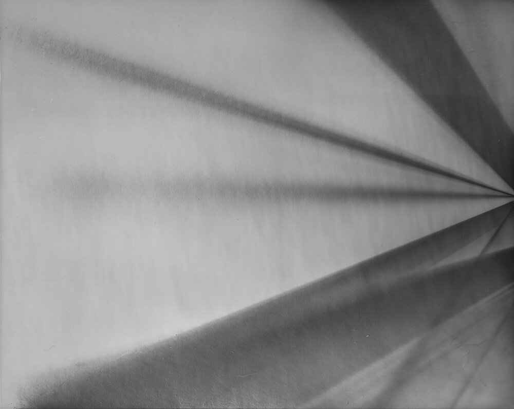 photogram_fijalkovich.jpeg