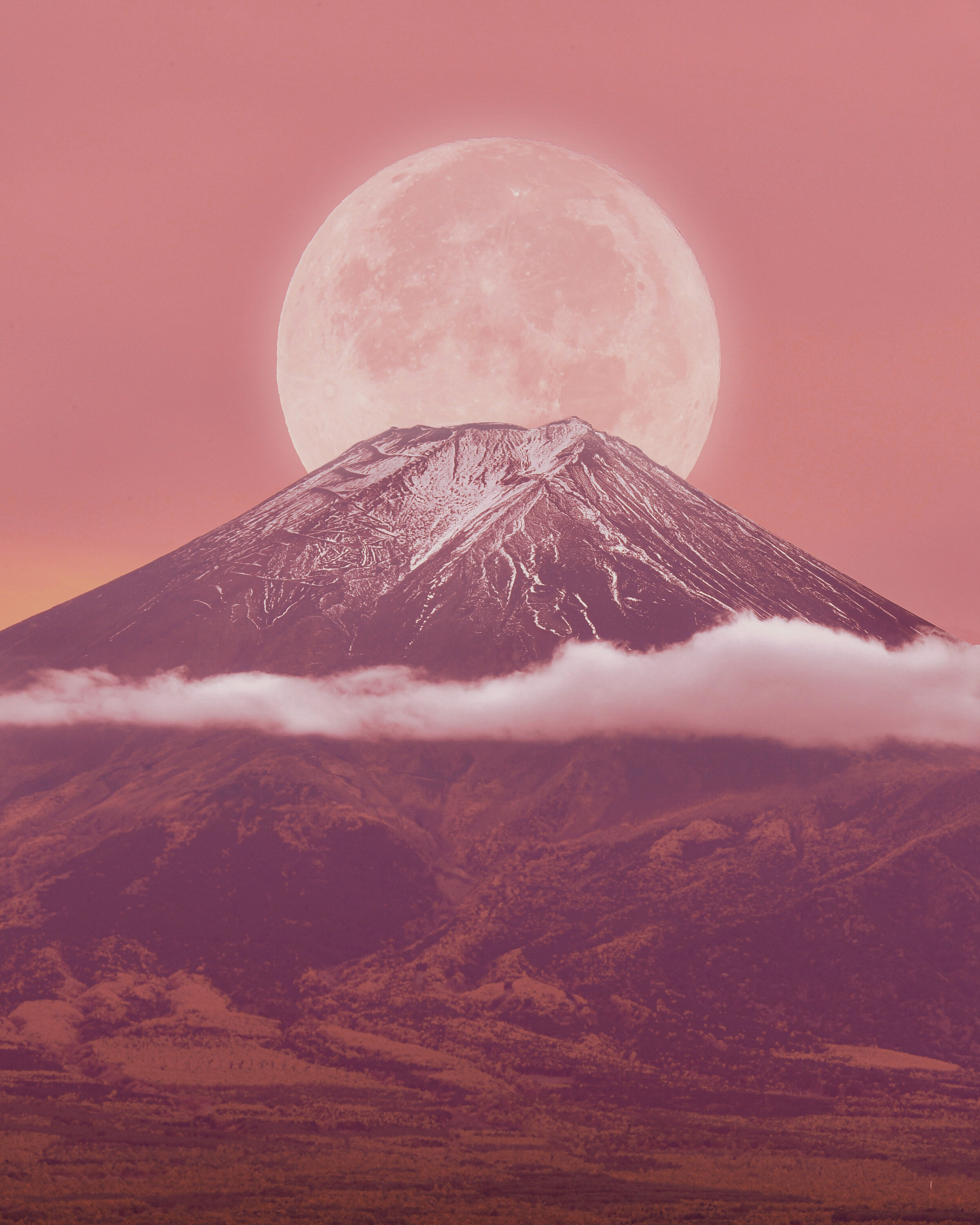 F077B8FB-8ABE-400D-B53E-C5EC283AC8AD.jpeg