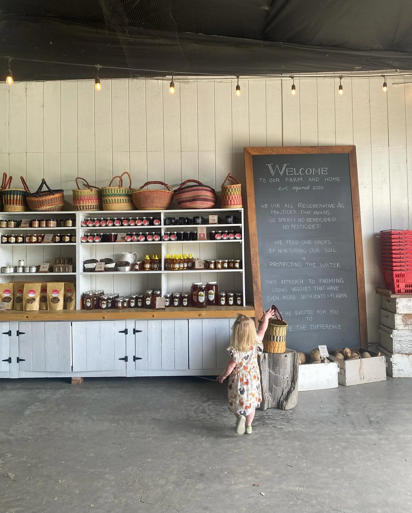 An island summer. 🌿🧺🍓