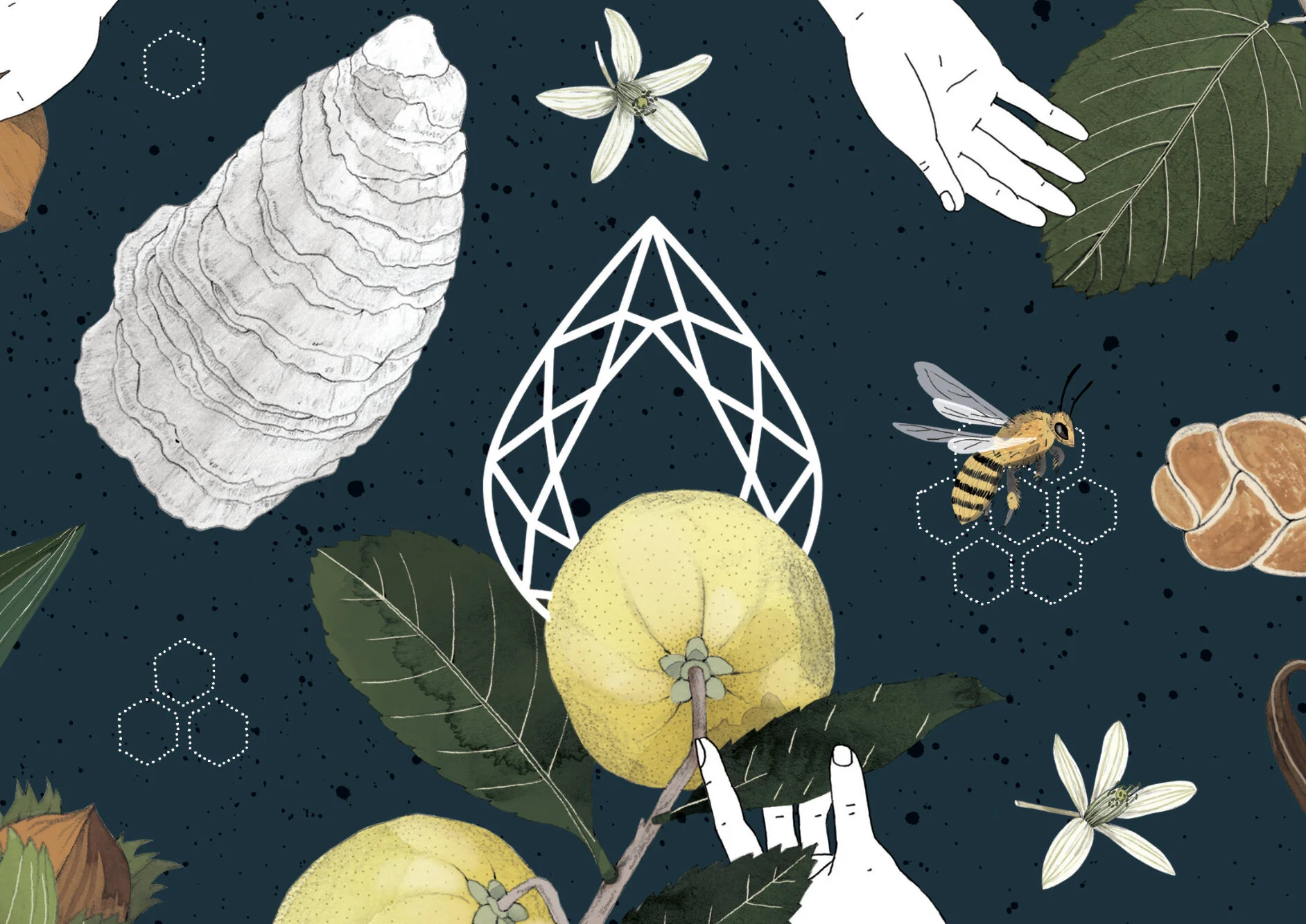 Screen Shot 2019-11-23 at 12.23.20 pm.jpg