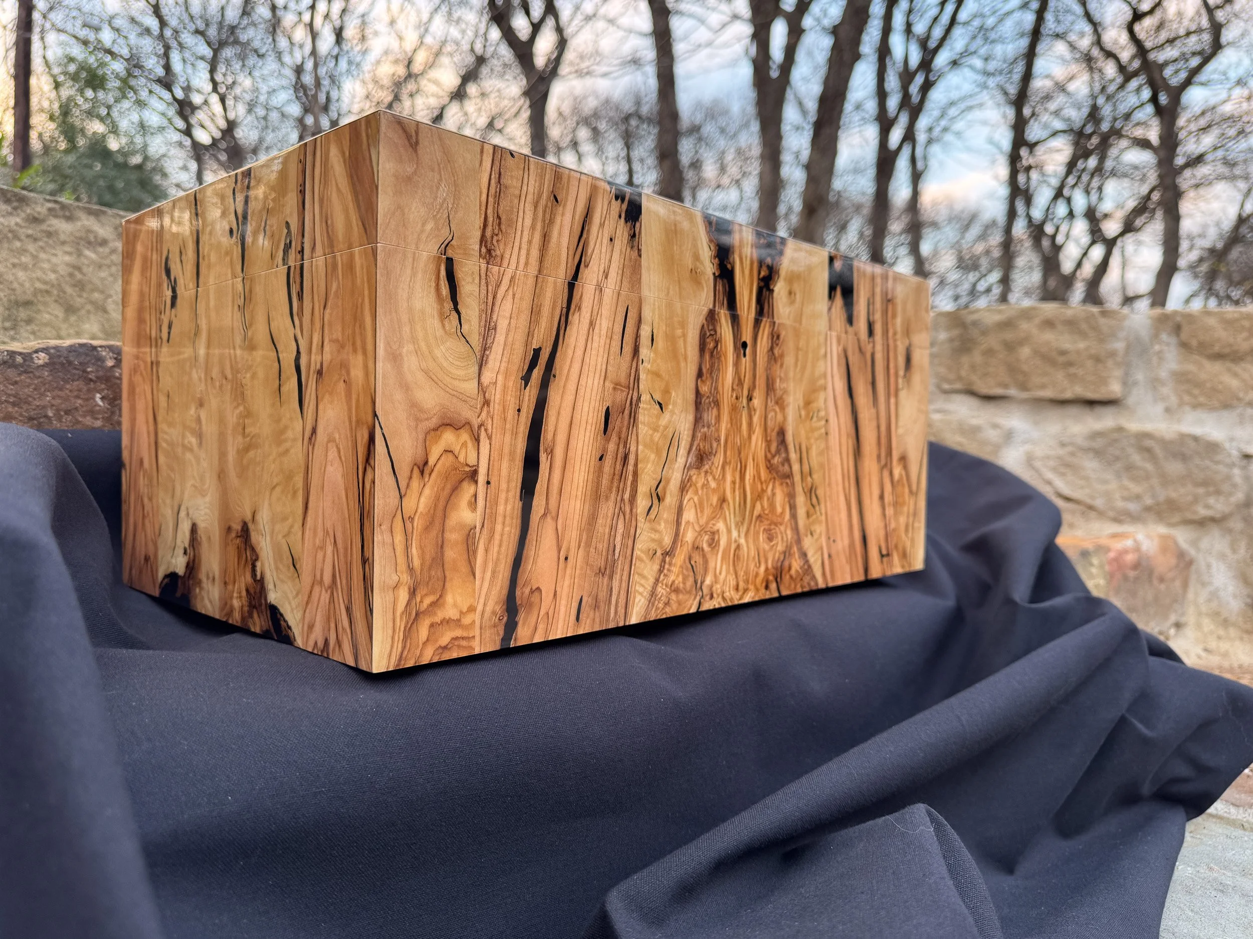 centient-luxury-bethlehem-olivewood-humidor-outdoors-left-bottom-view.jpg