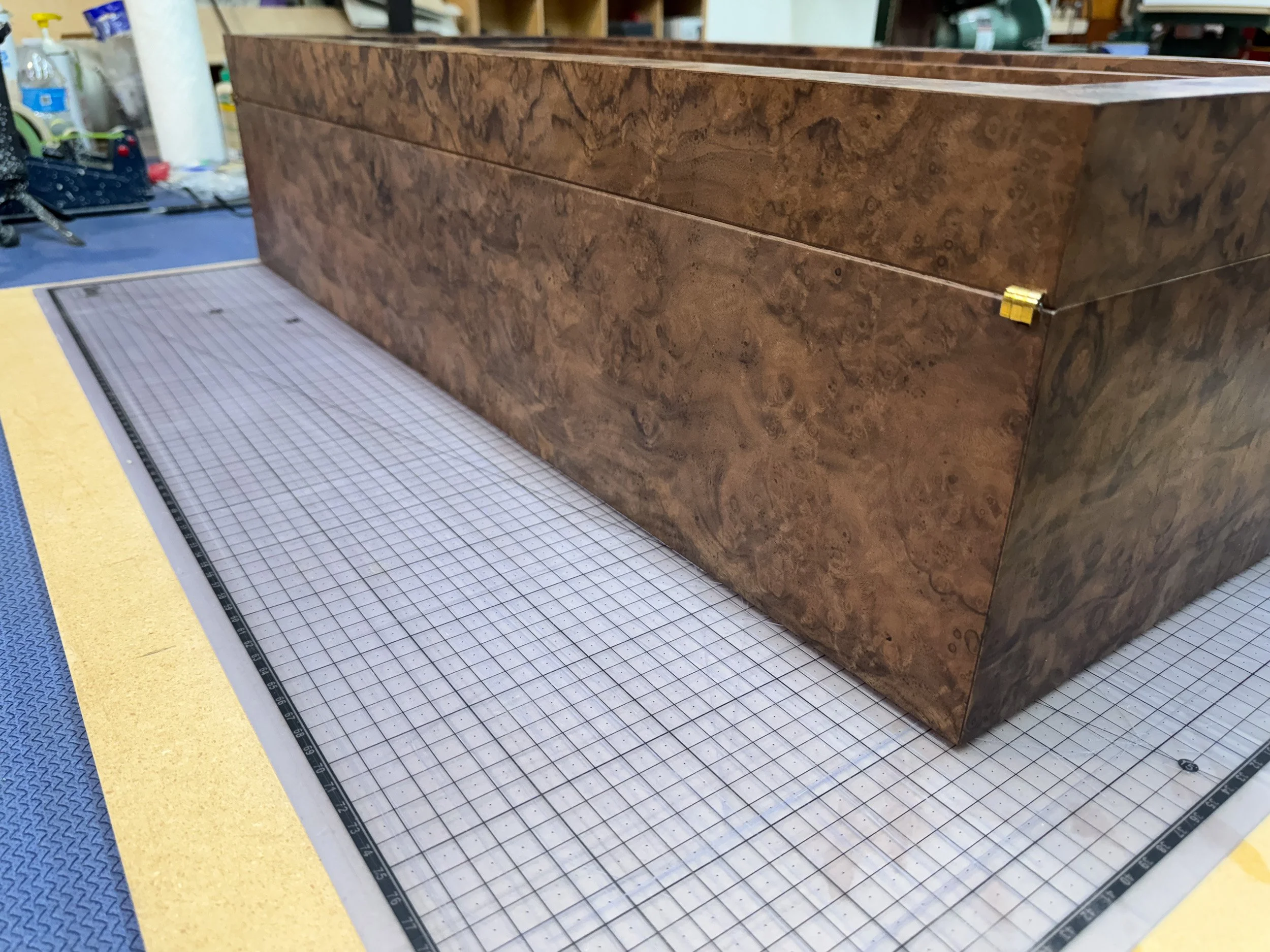 centient-luxury-walnut-burl-museum-glass-humidor-shop-back-angle.jpg