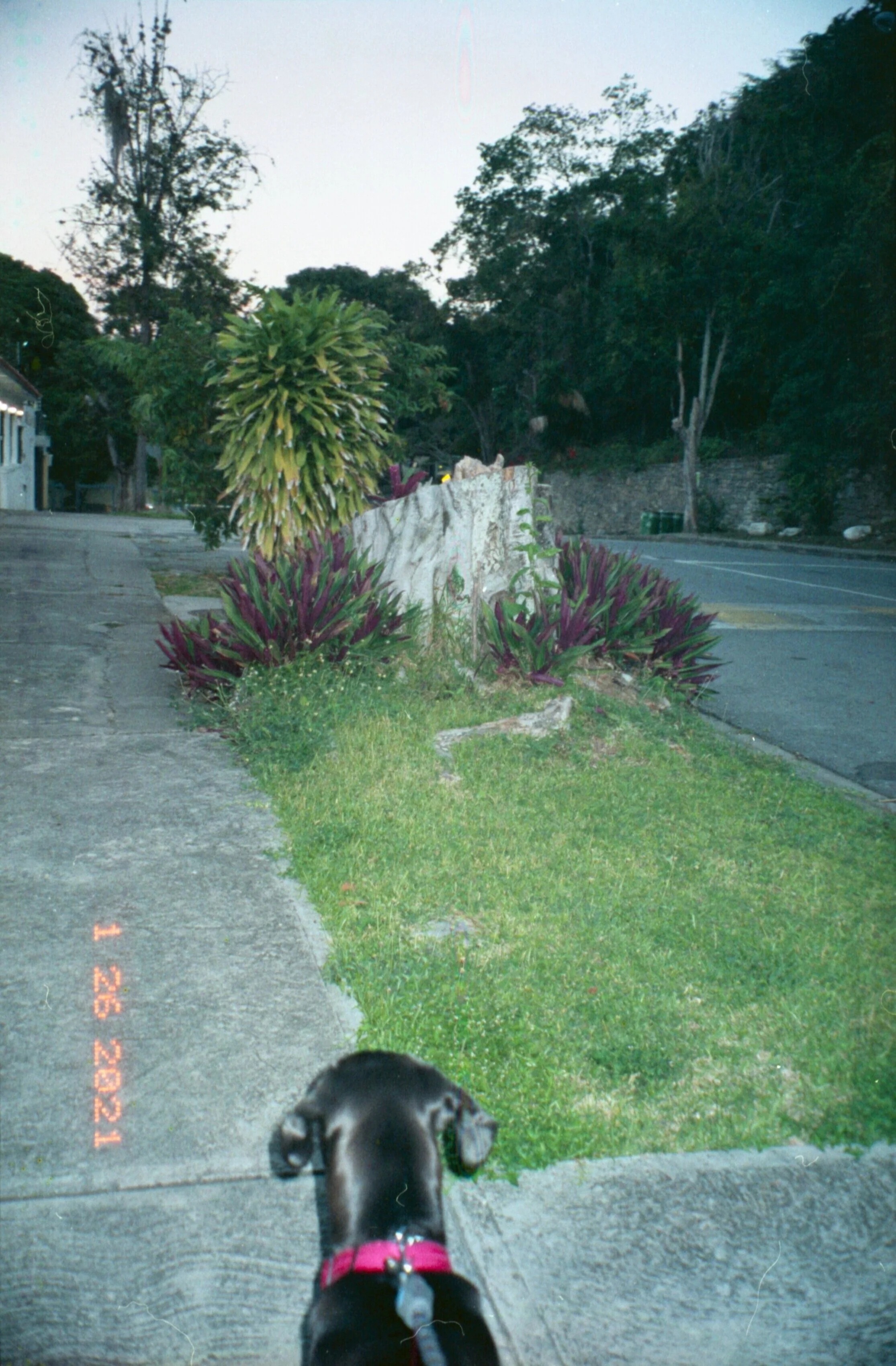 caurimare037.jpg
