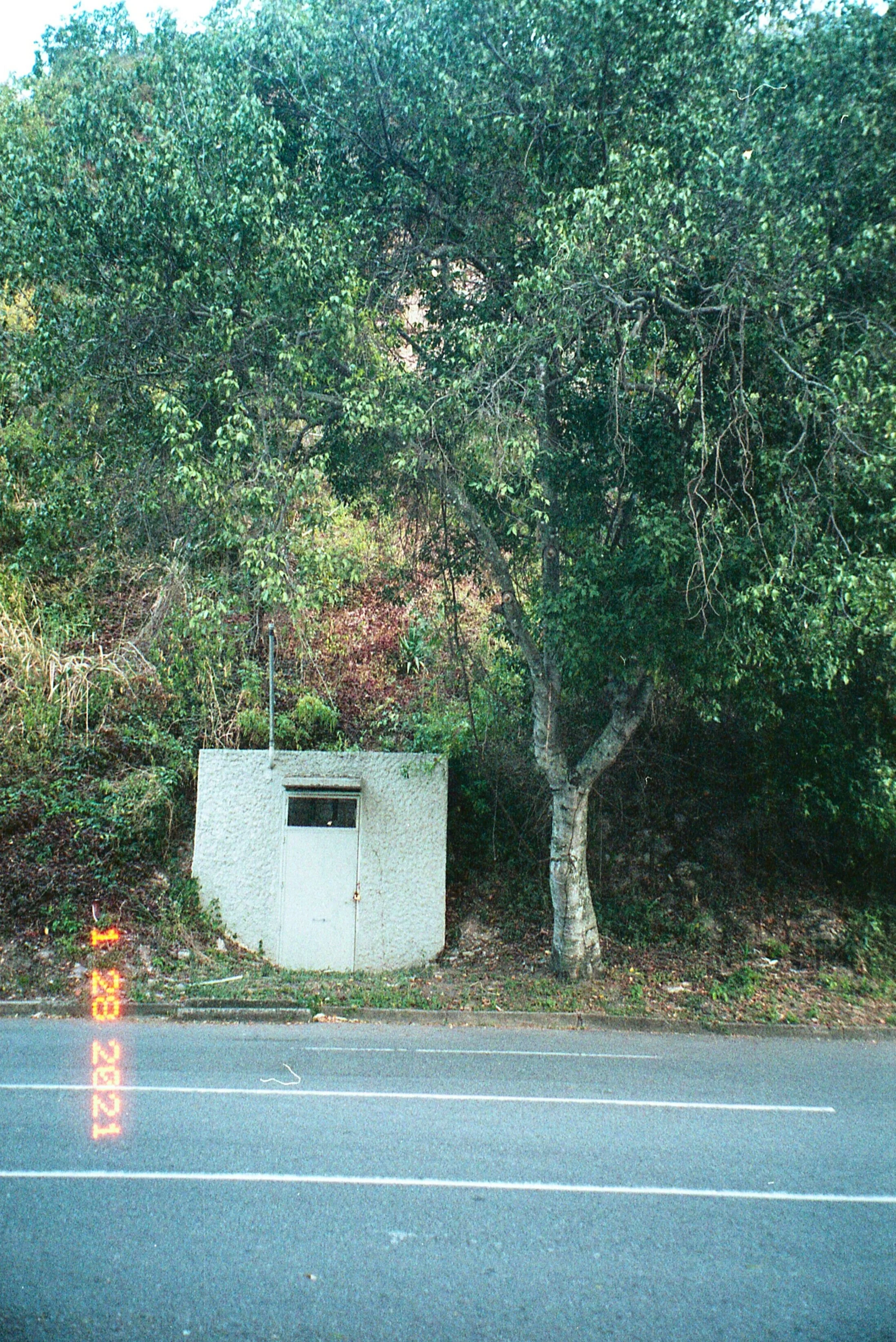 caurimare012.jpg