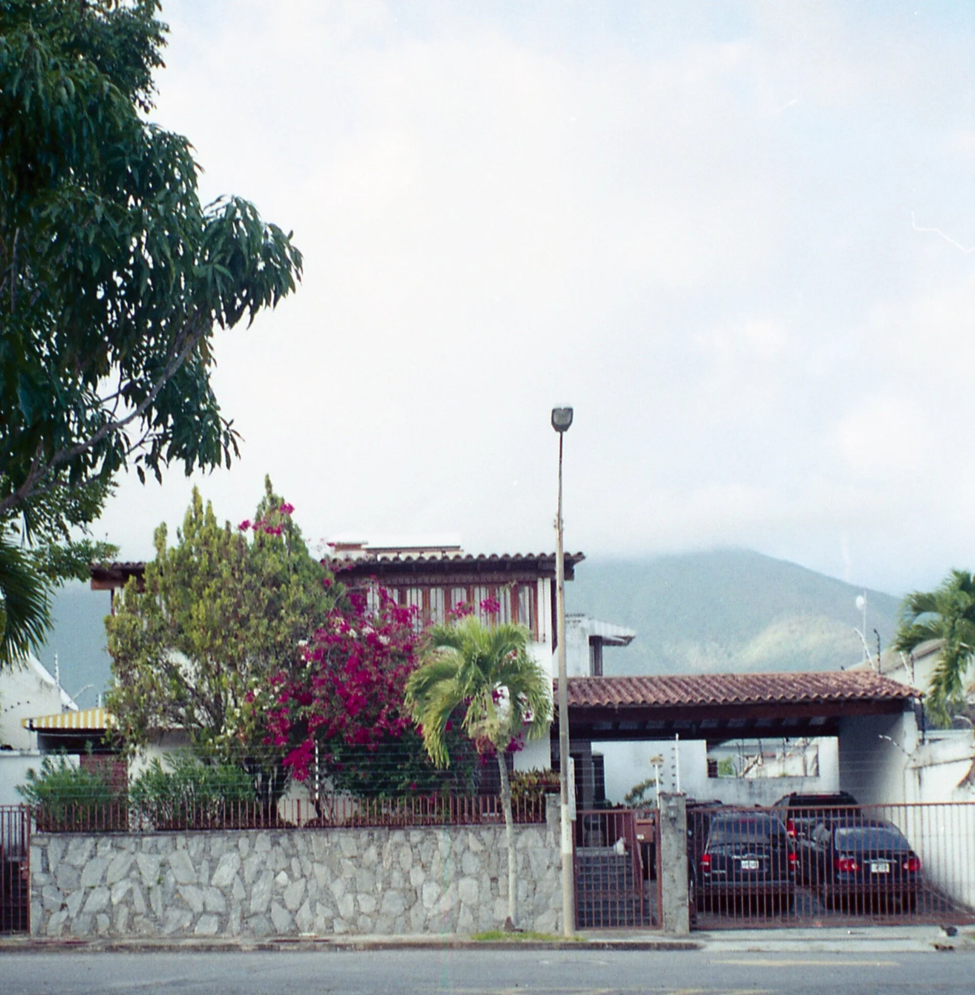 caurimare005.jpg