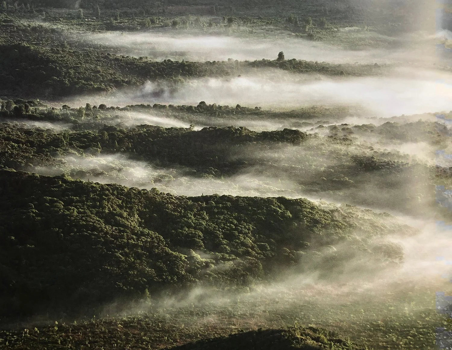Green scene.jpg