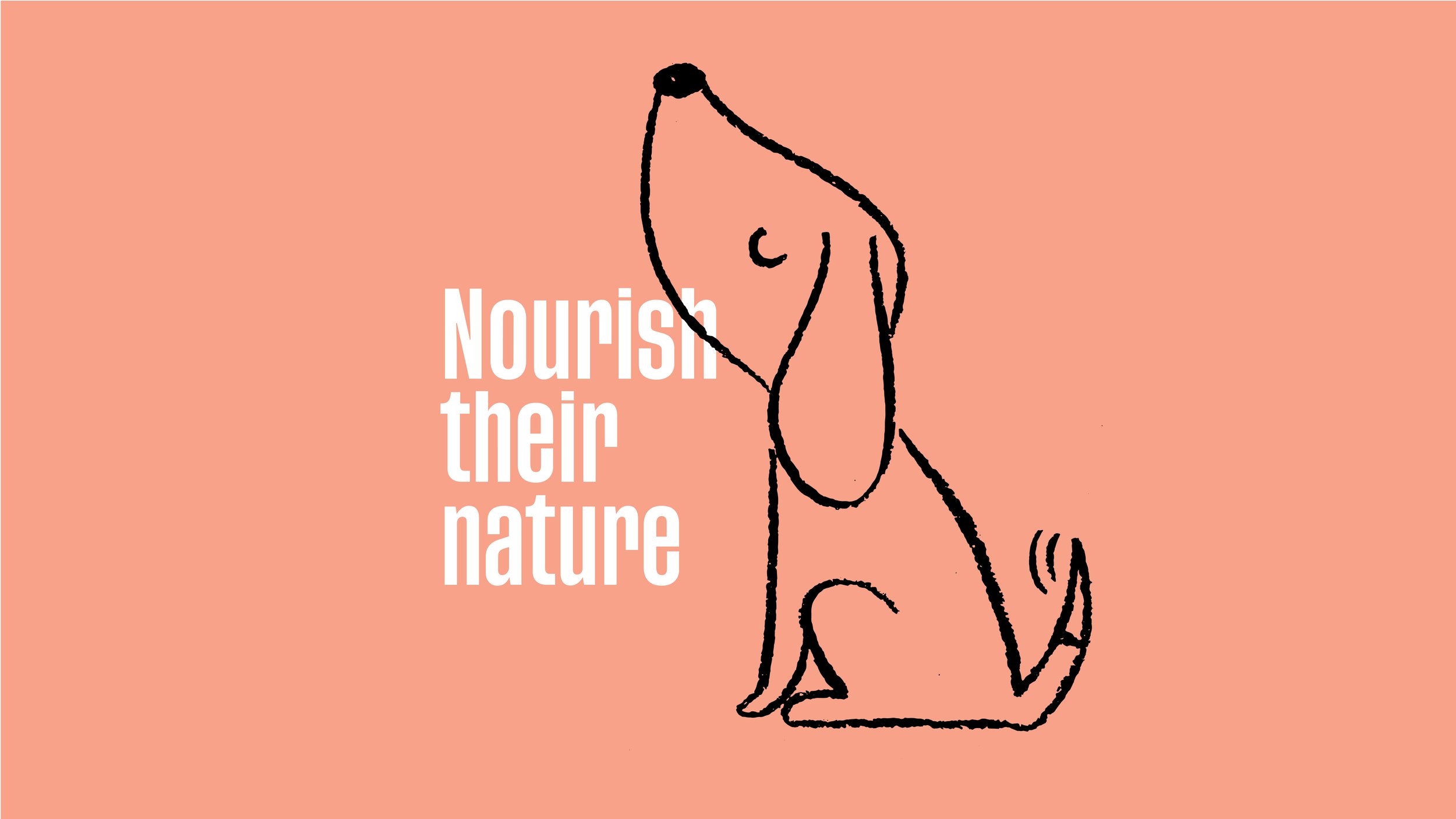 Real Dog Food Louise Fulton Design Real Dog Food Louise Fulton Design