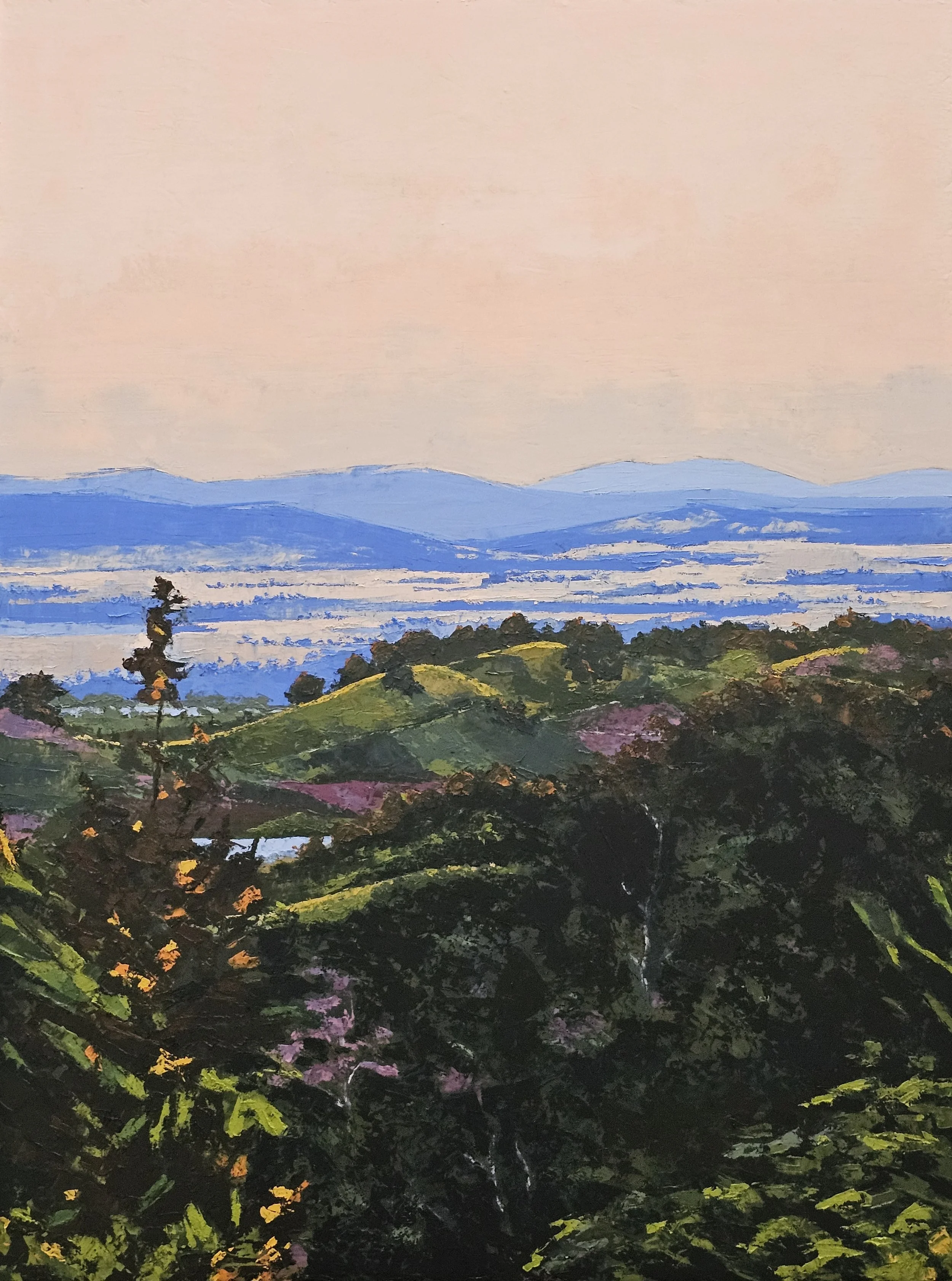 Oxley Scenic Lookout
49"x36" oil and wax on wood
Available