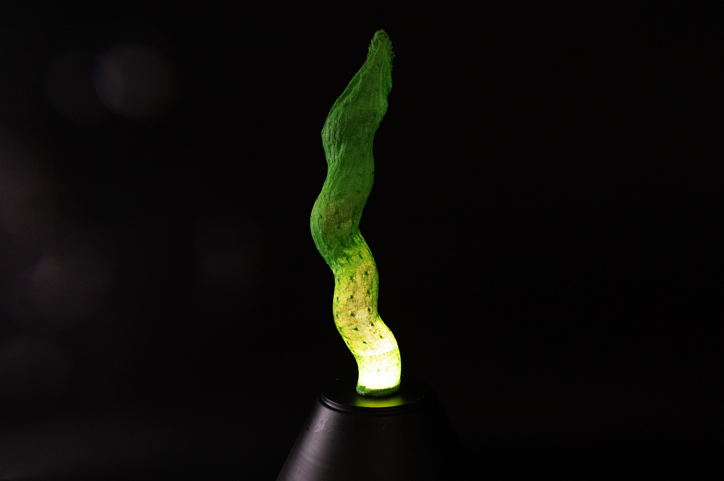 CaraHuato_GreenSwirl_2025_KnitBioplastic_ON_7x46cm_£450.jpg