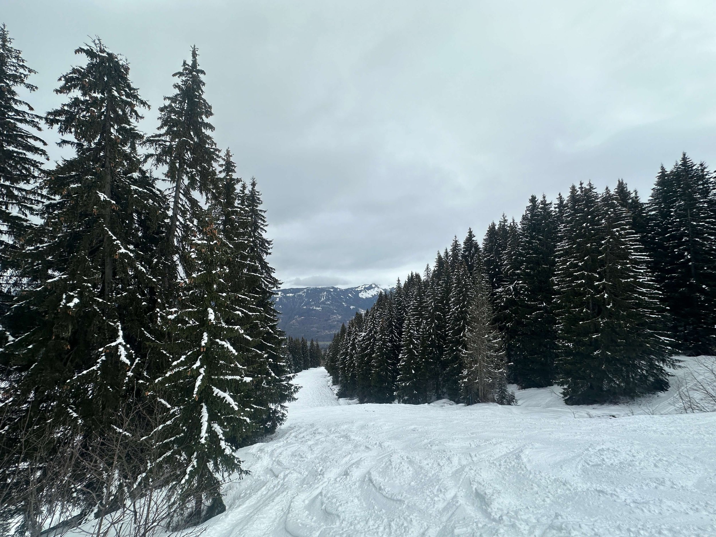 snowboarding-morillon-grand-massif