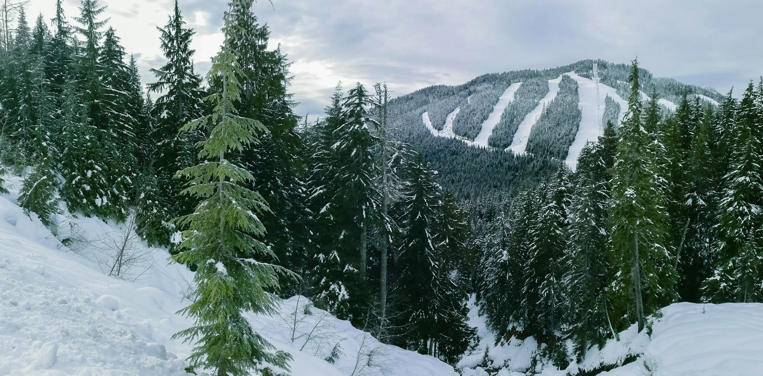 Staying Safe When Tree Skiing | These are the things I consider when heading into the glades. 