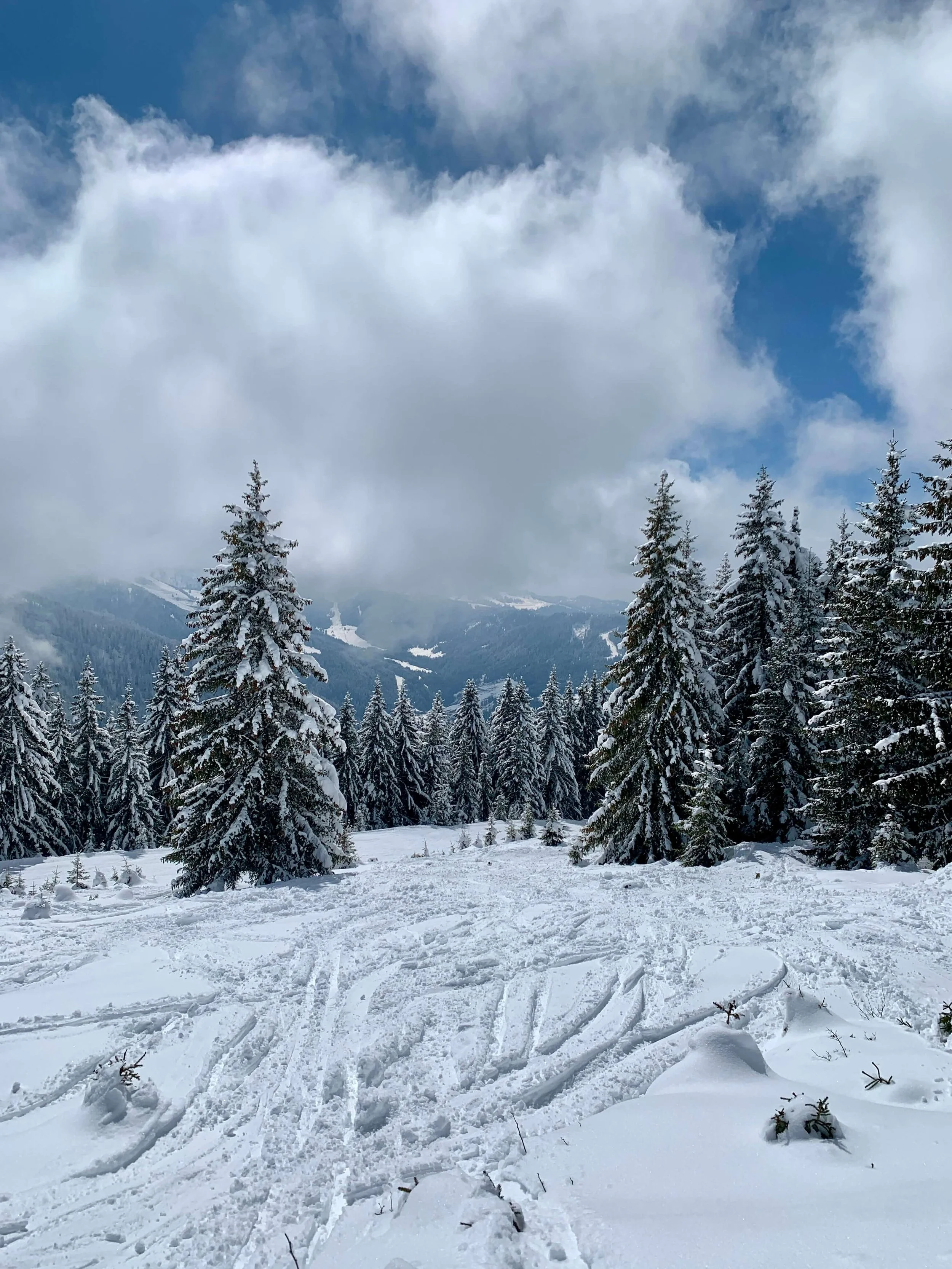 portes-du-soleil-snowboard-trip.JPG