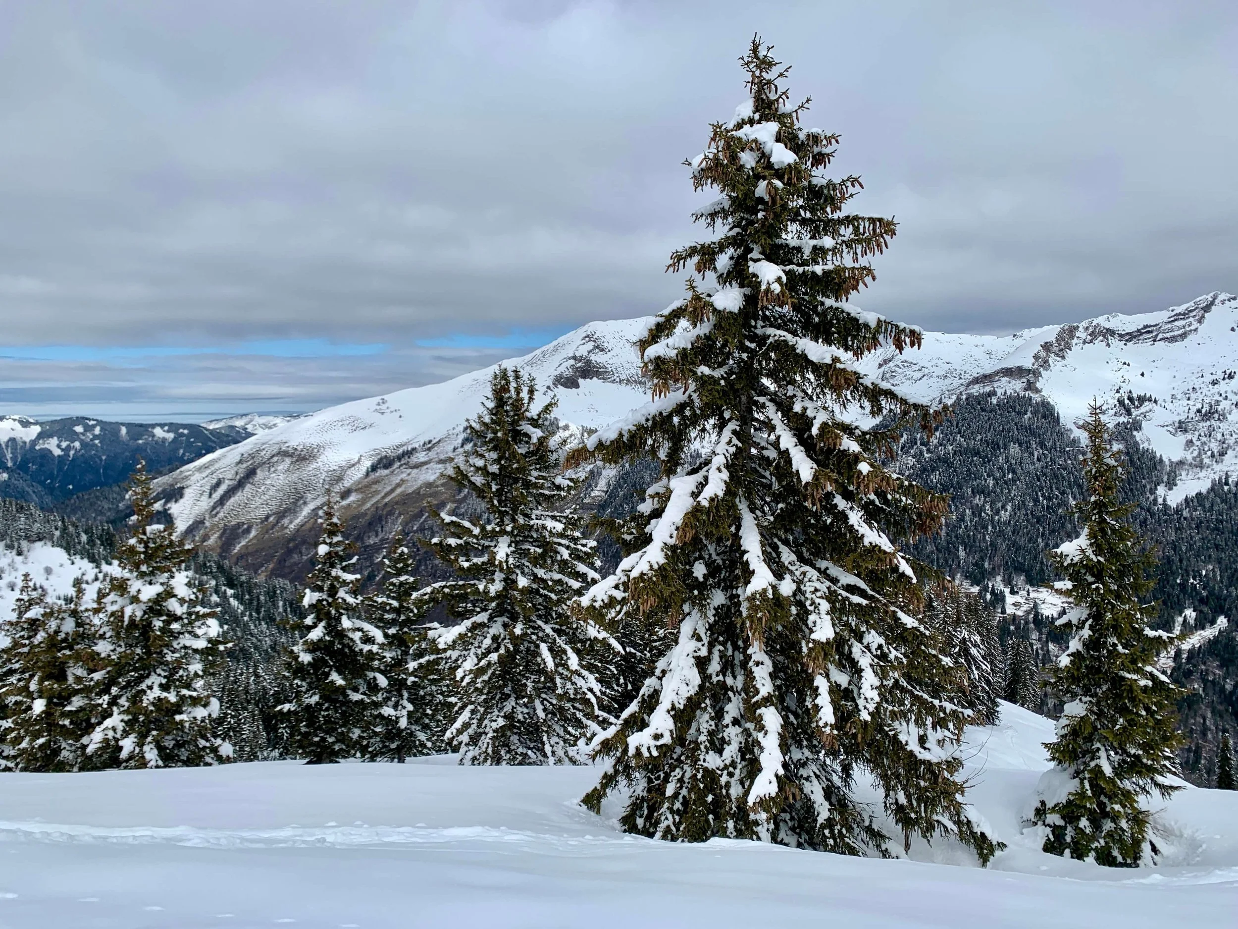 ski-resort-portes-du-soleil-france.JPG