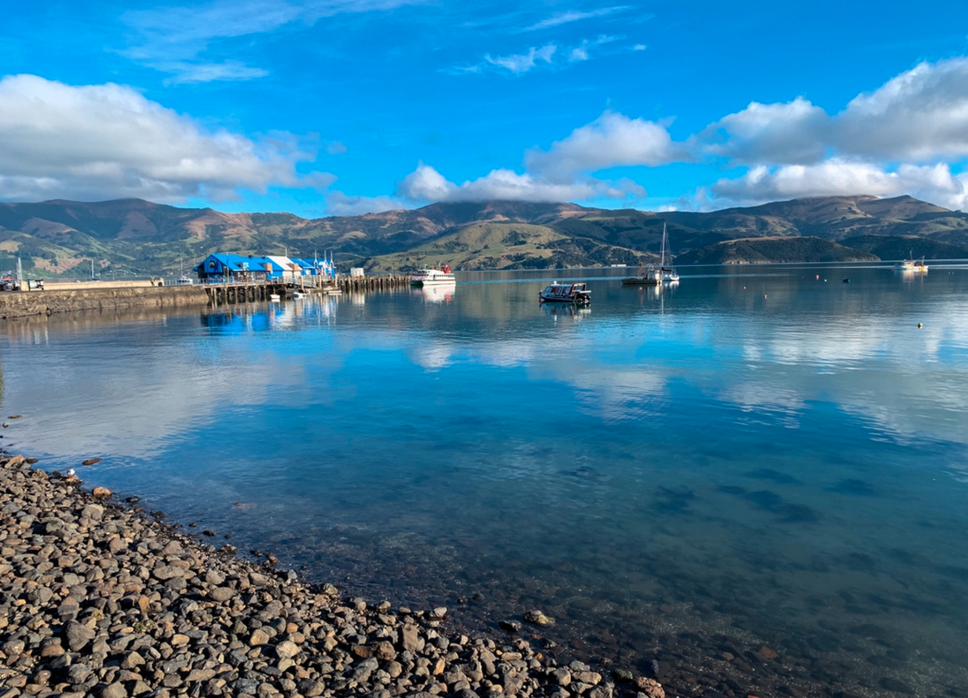 akora-new-zealand.png