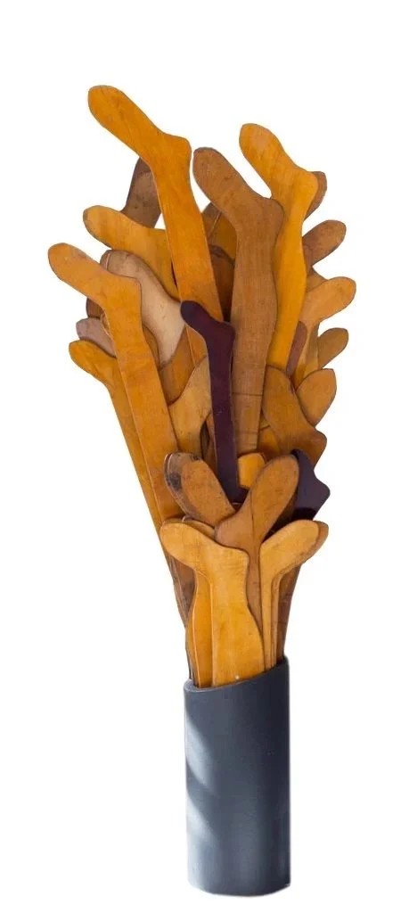 Tree_Crop.jpg