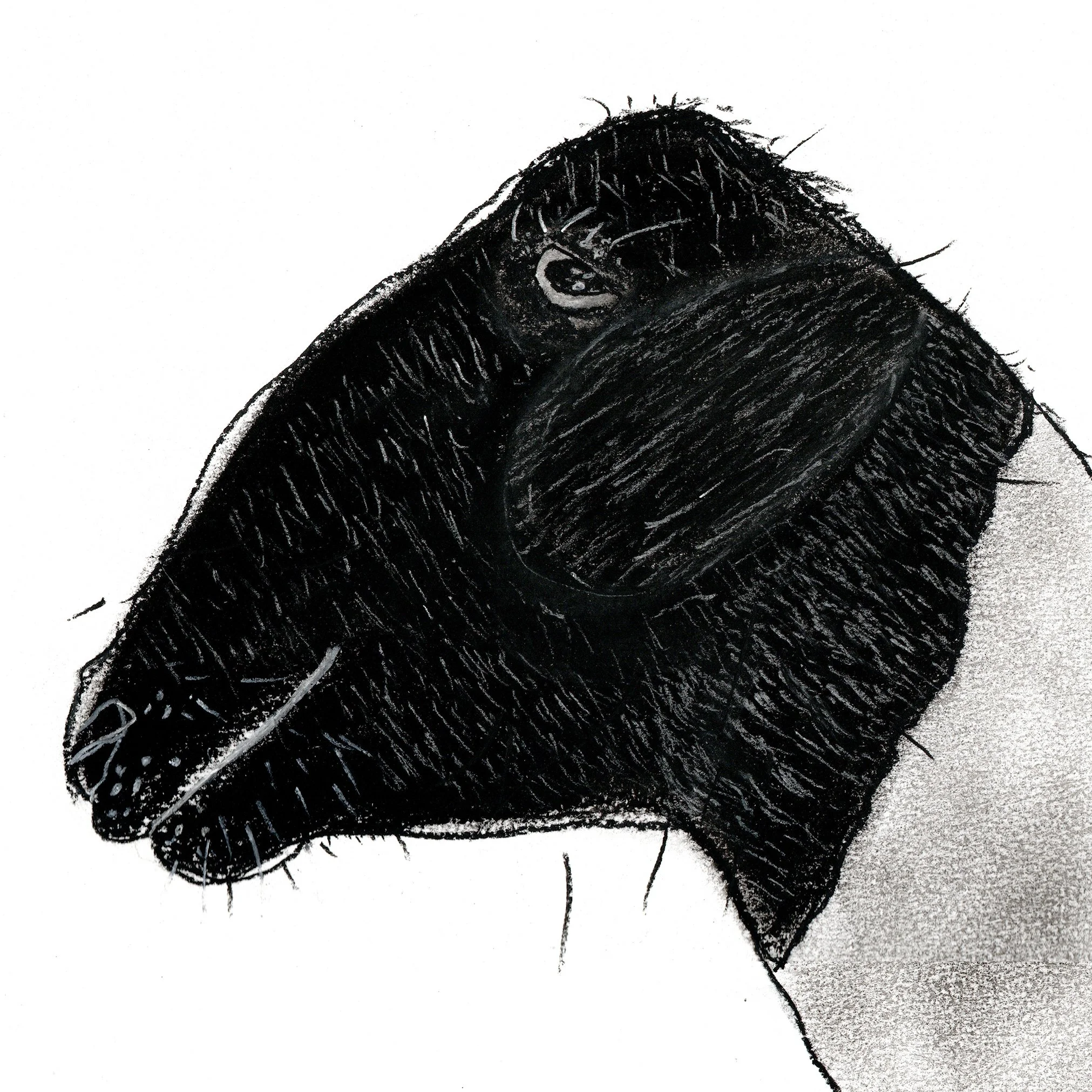 Easy-Like_Detail.jpg