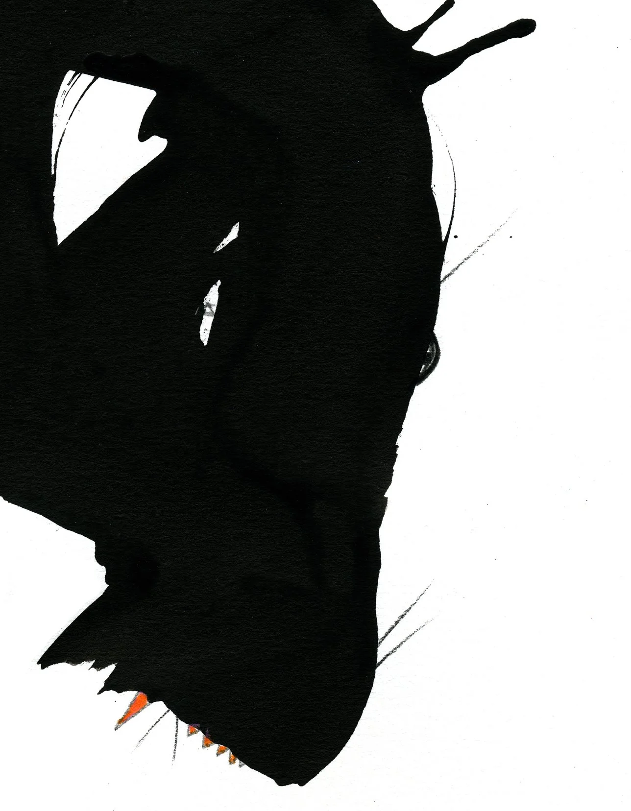 stu detail_2.jpg