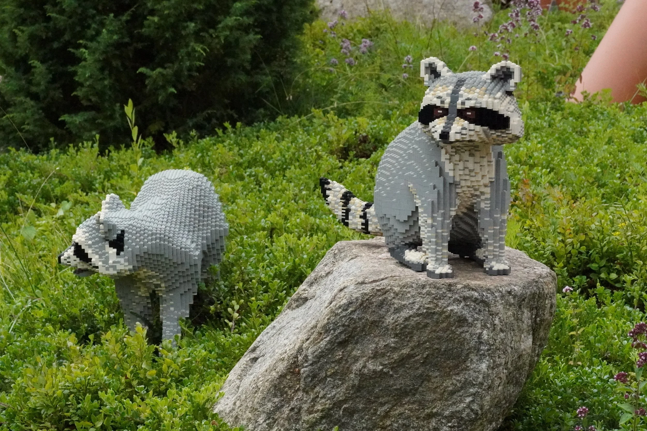 legoland-billund-lego-racoons.JPG