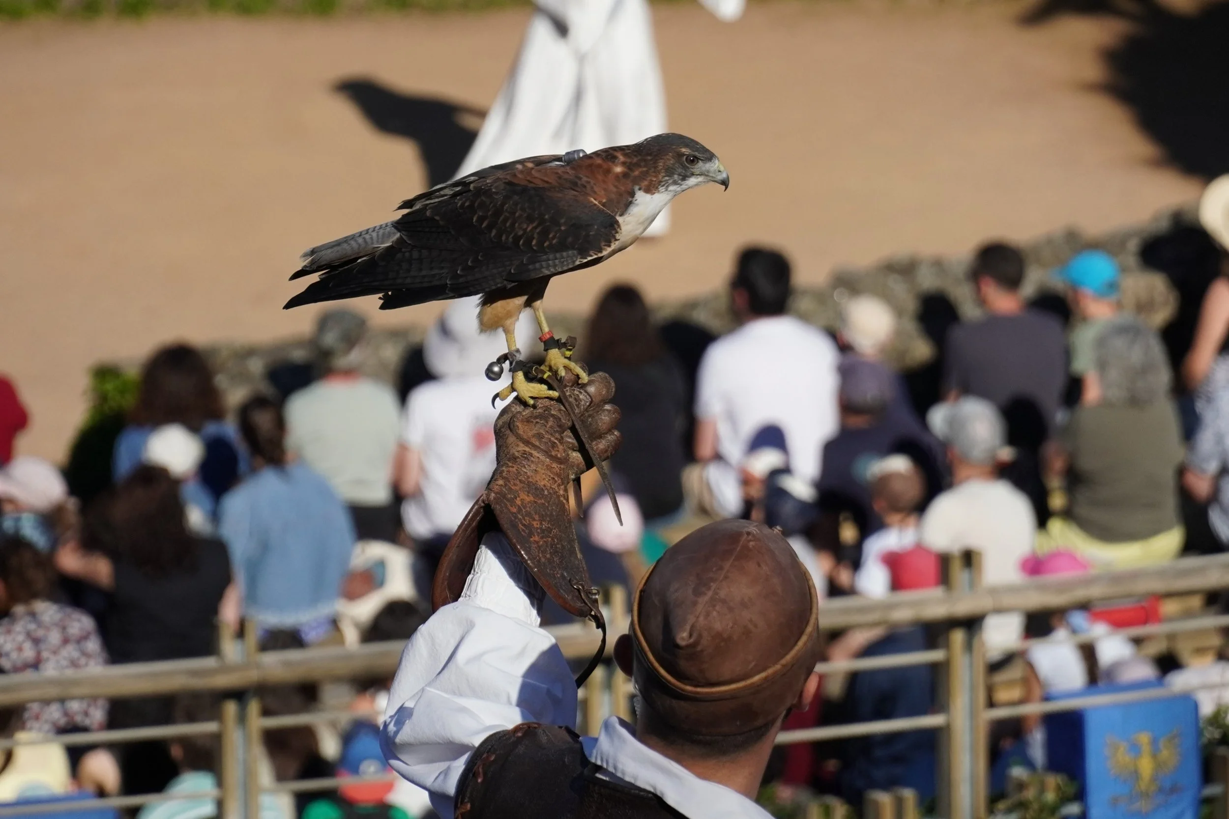le-bal-des-oiseaux-fantômes-puy-du-fou-theme-park-show-france-a.JPG