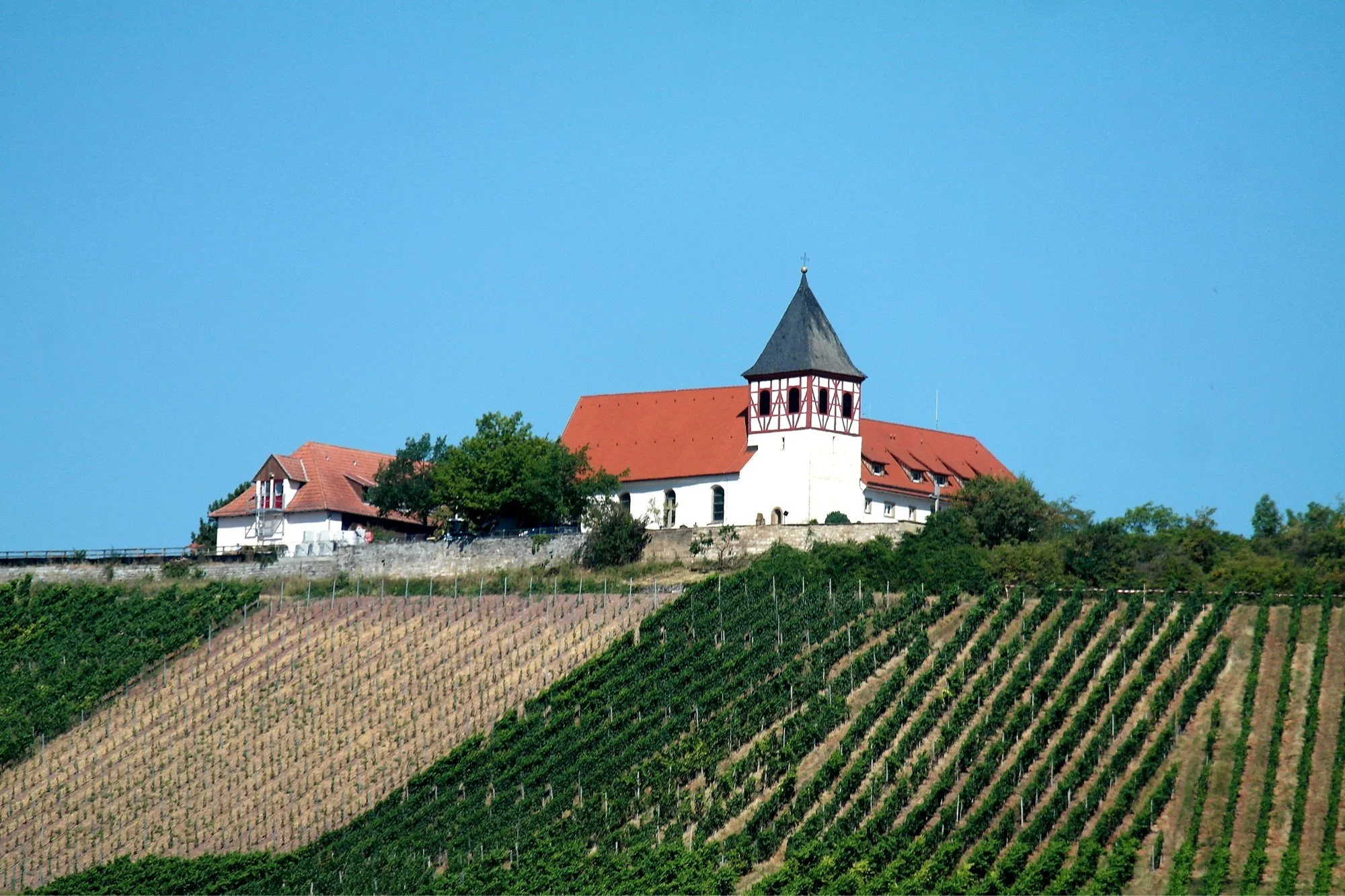 tripsdrill-germany-theme-park-wine-vinyard.JPG