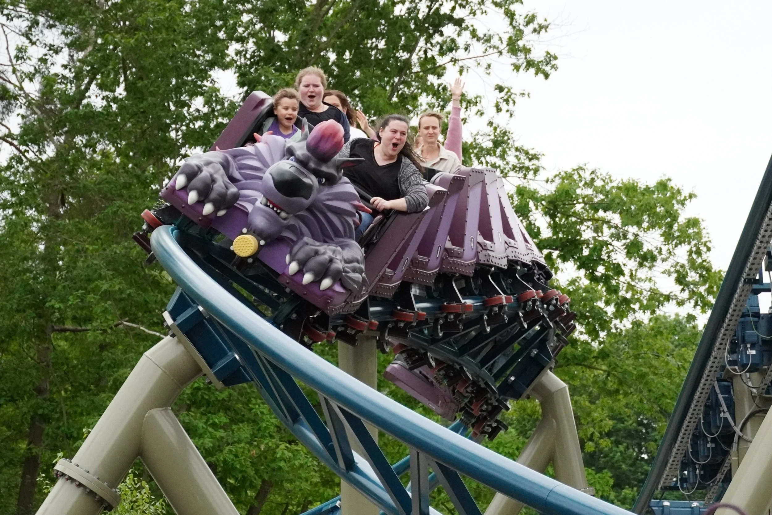 Guests riding 100% Wolf roller coaster at Plopsaland Deutschland during a fast banked turn