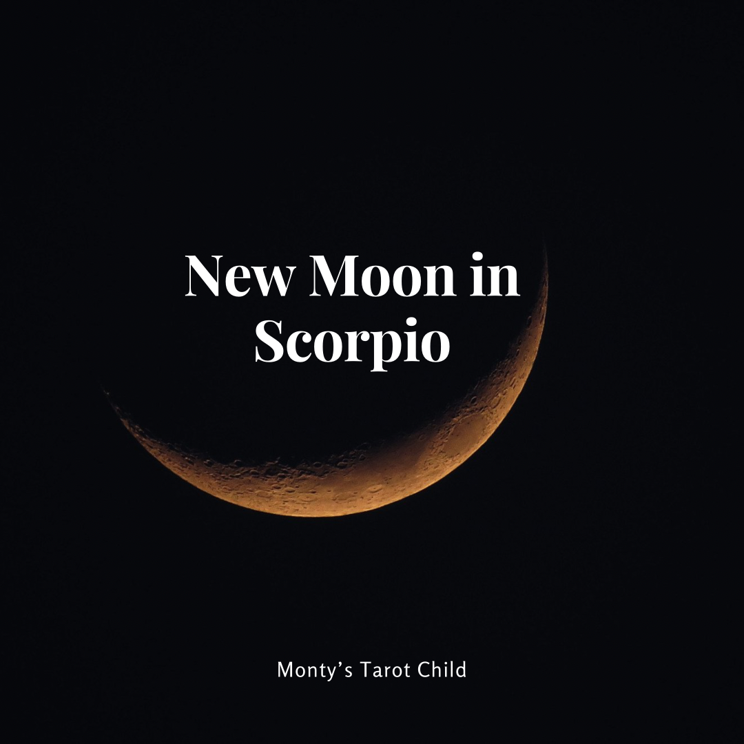 New Moon in Scorpio Reading 11/4/2021